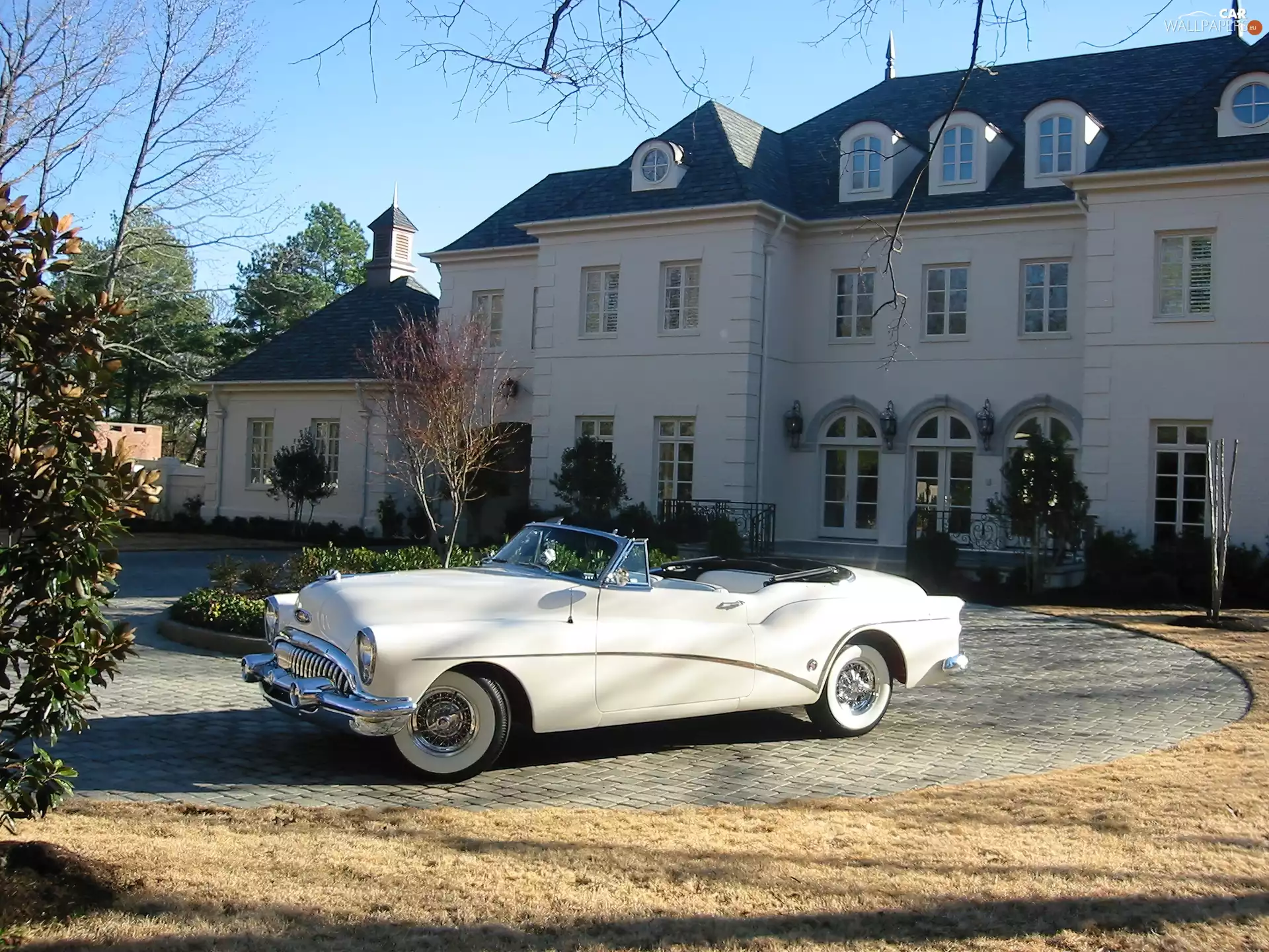 antique, Buick Skylark