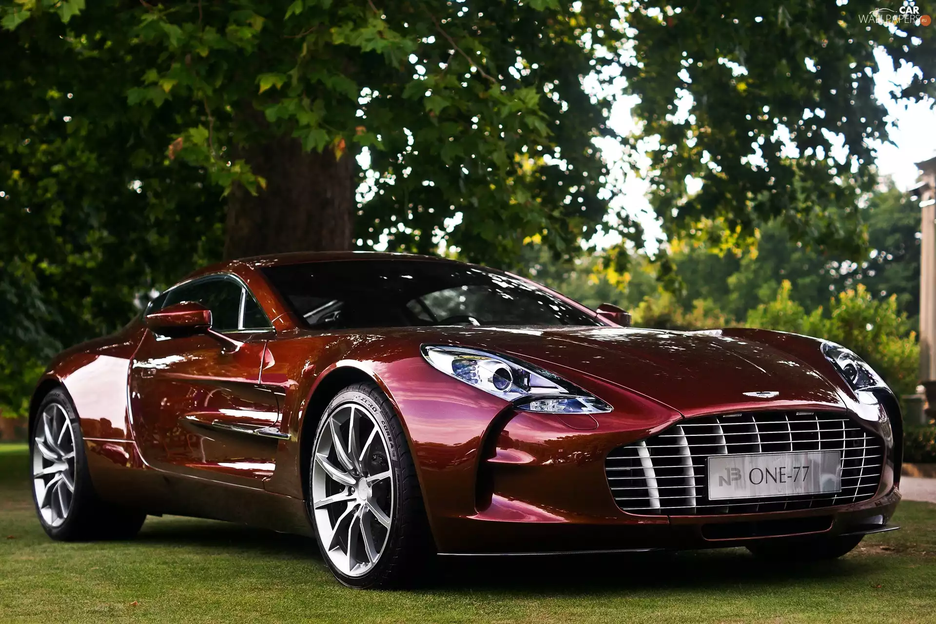 cherry, Aston Martin One-77