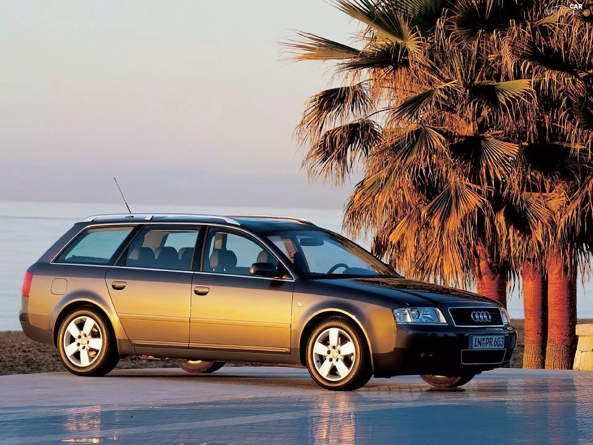 Audi A6, Palms