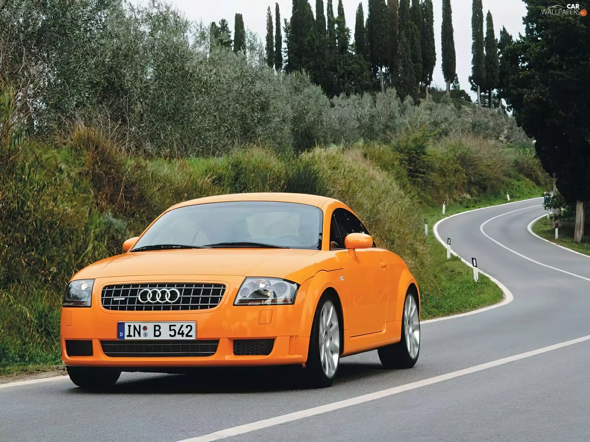 Audi TT, Street
