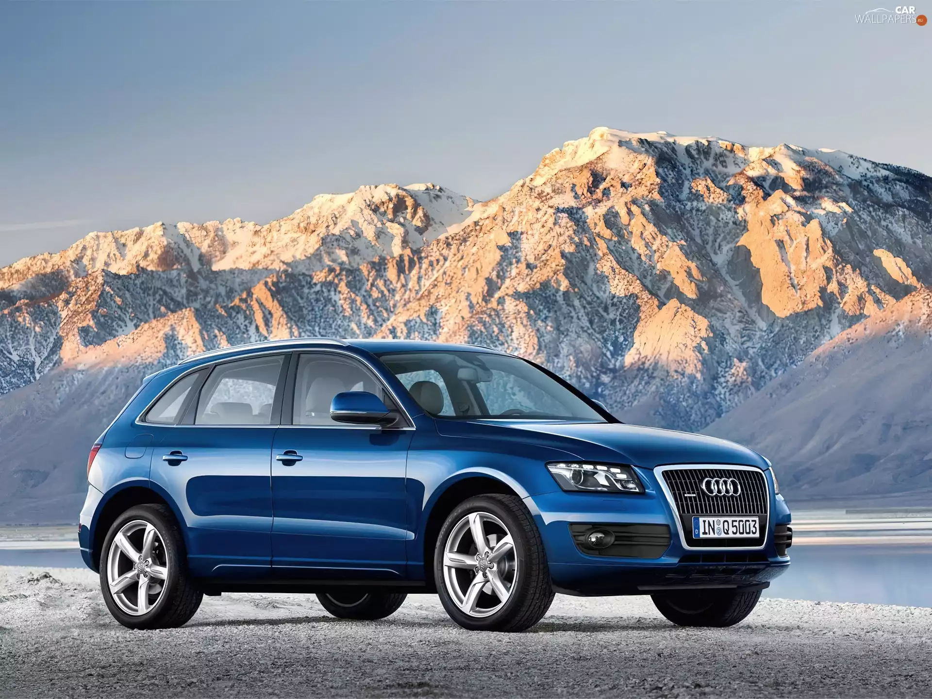 Audi Q5, SUV