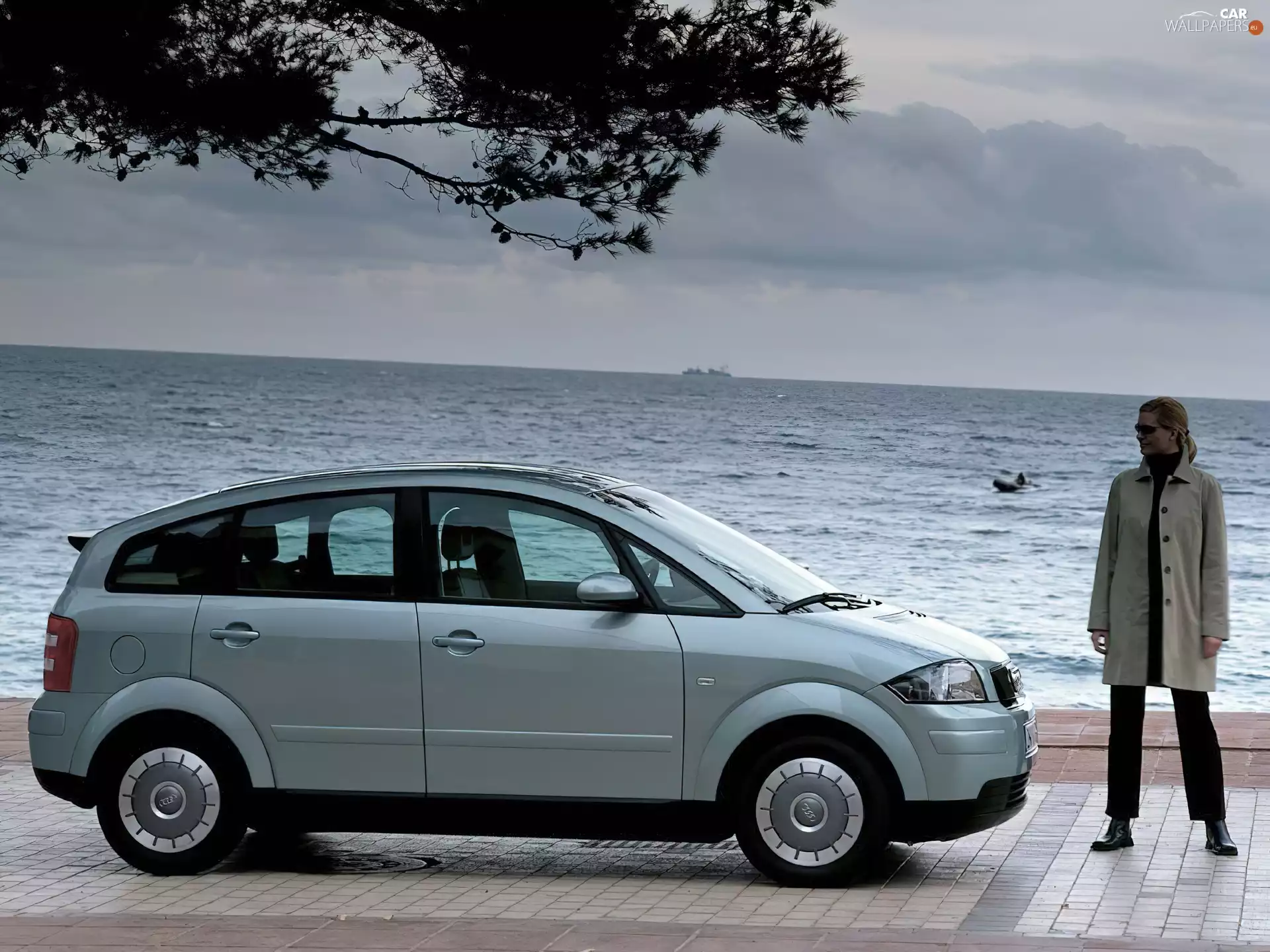 Audi A2, trees