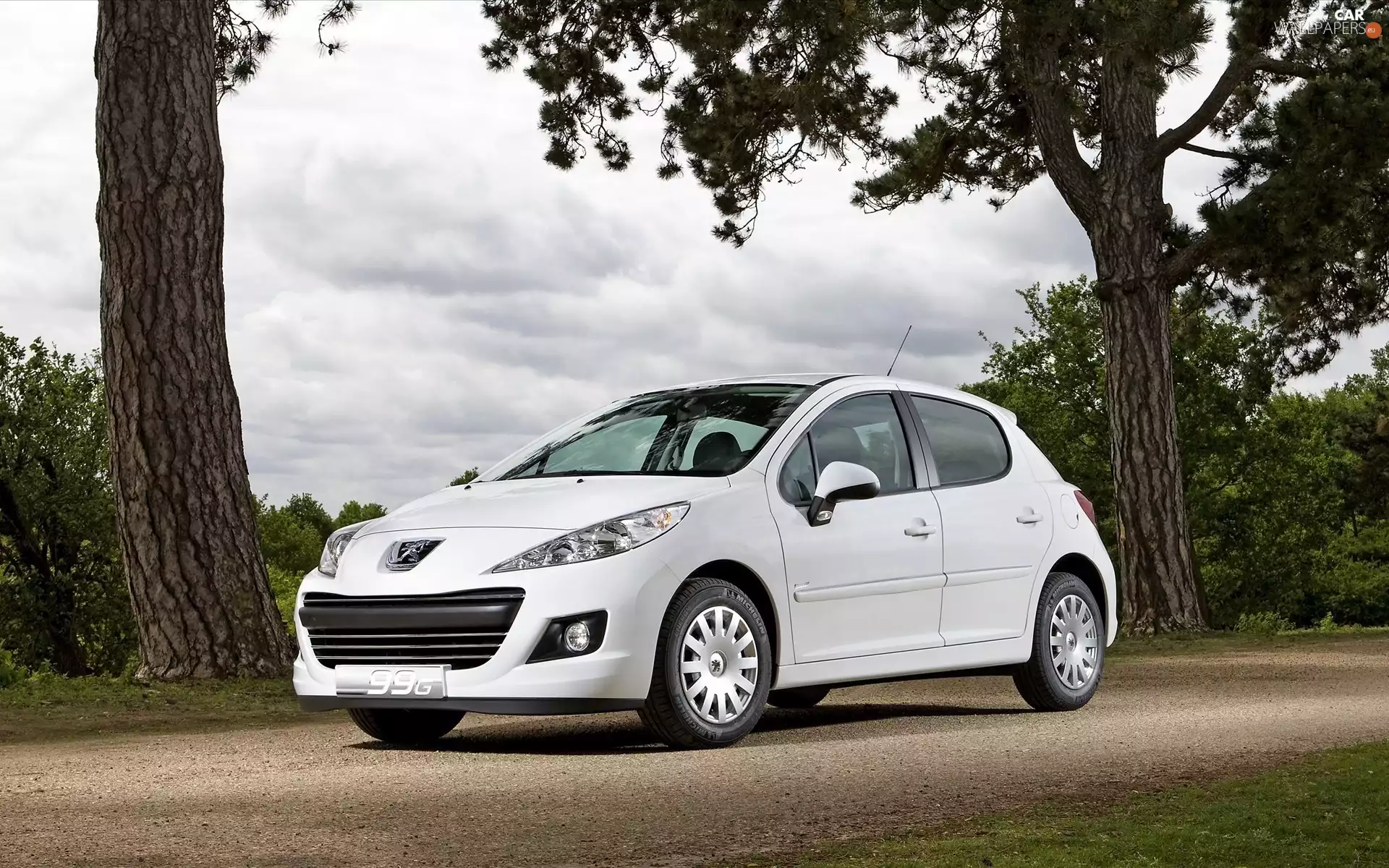 Automobile, Peugeot, 207