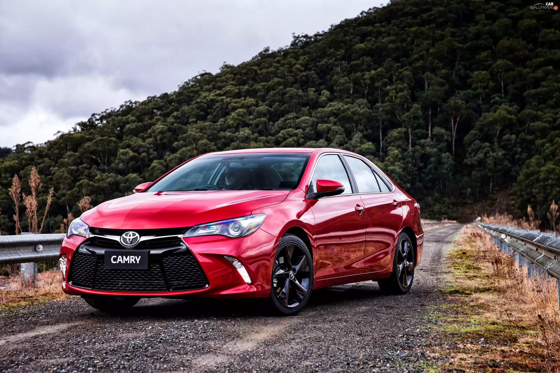 Automobile, Red, Toyota, Camry, trees, viewes, Hill, forest, Way