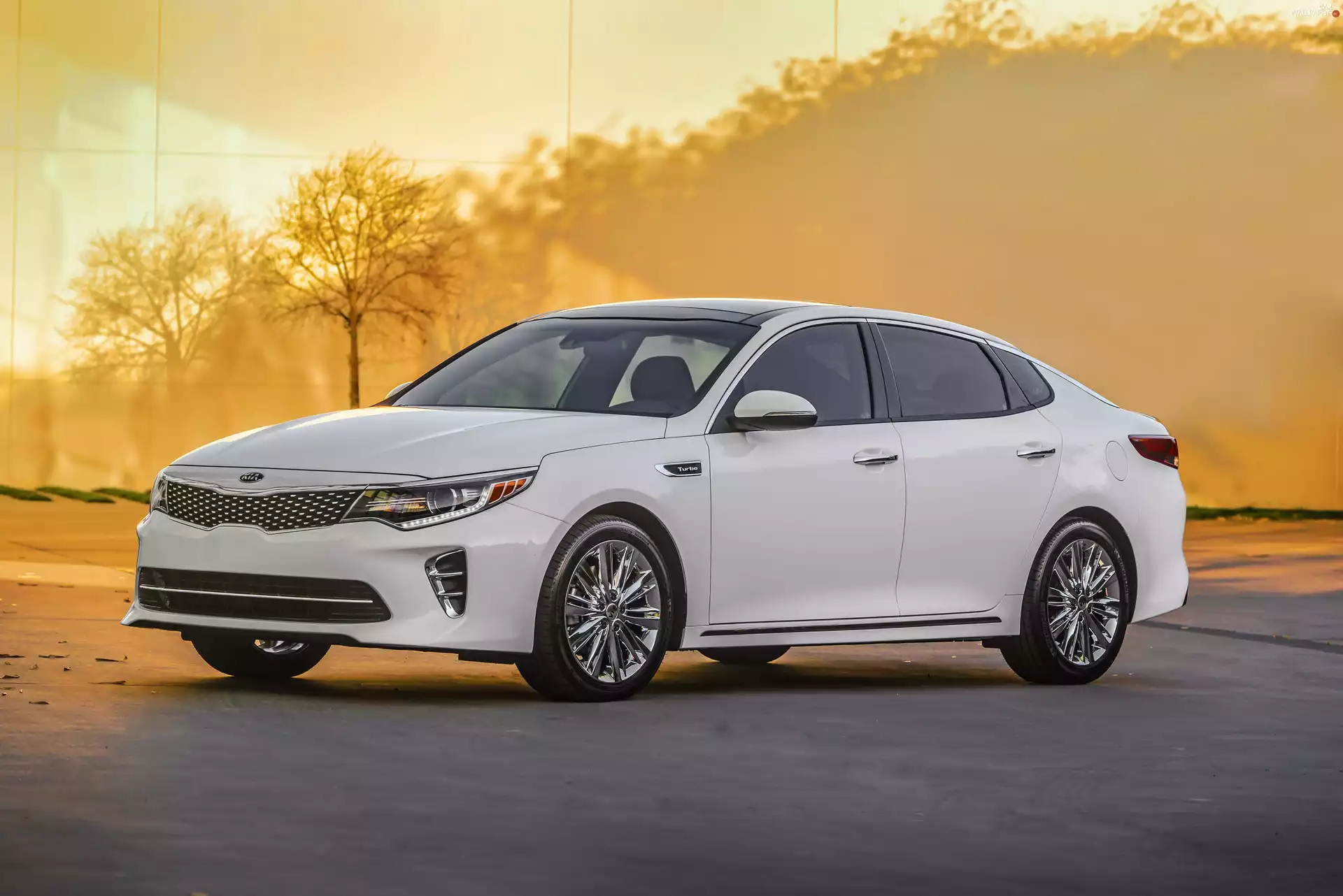 Kia, White, Optima, Automobile