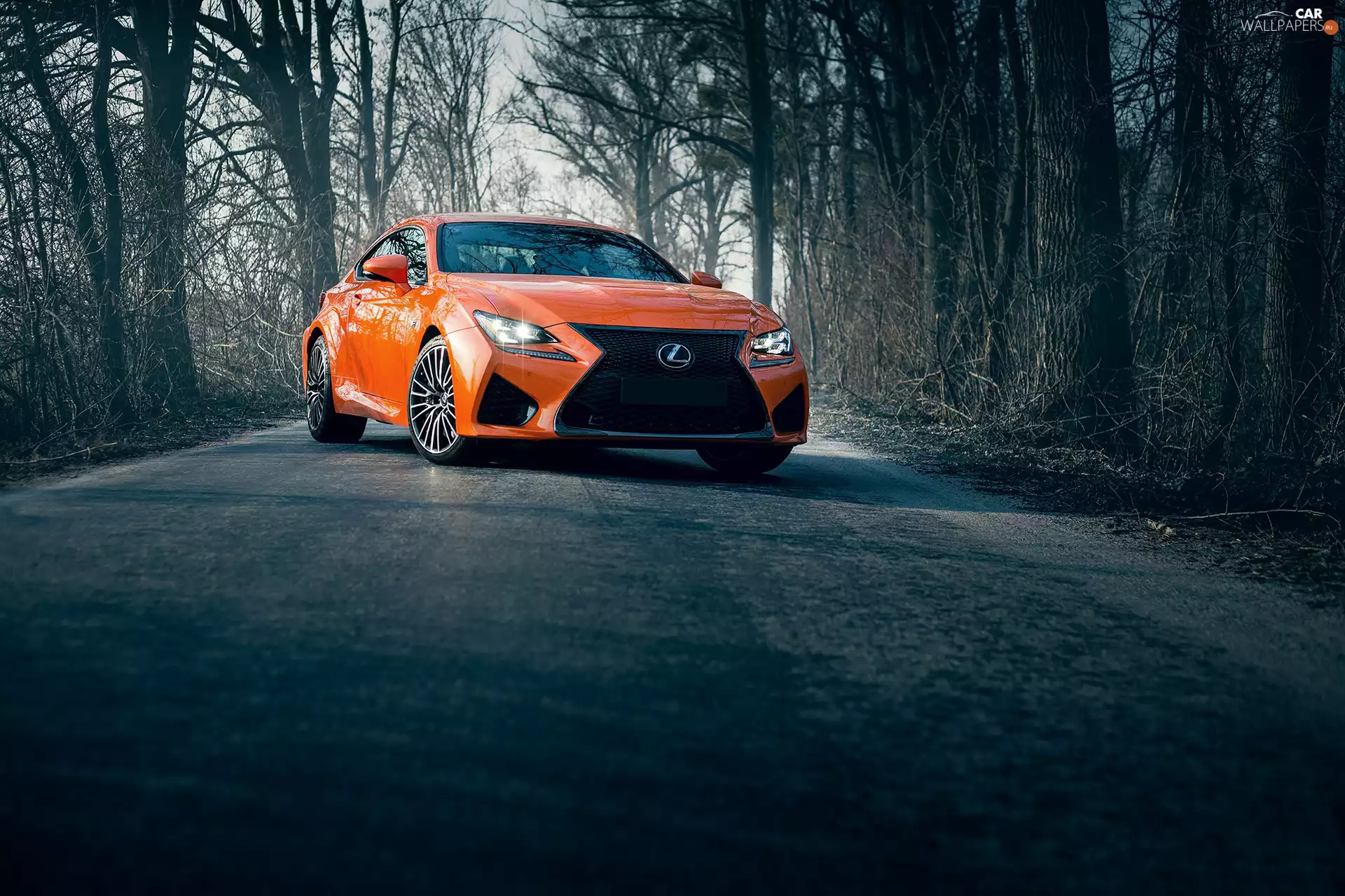 2017, Automobile, Lexus RC F