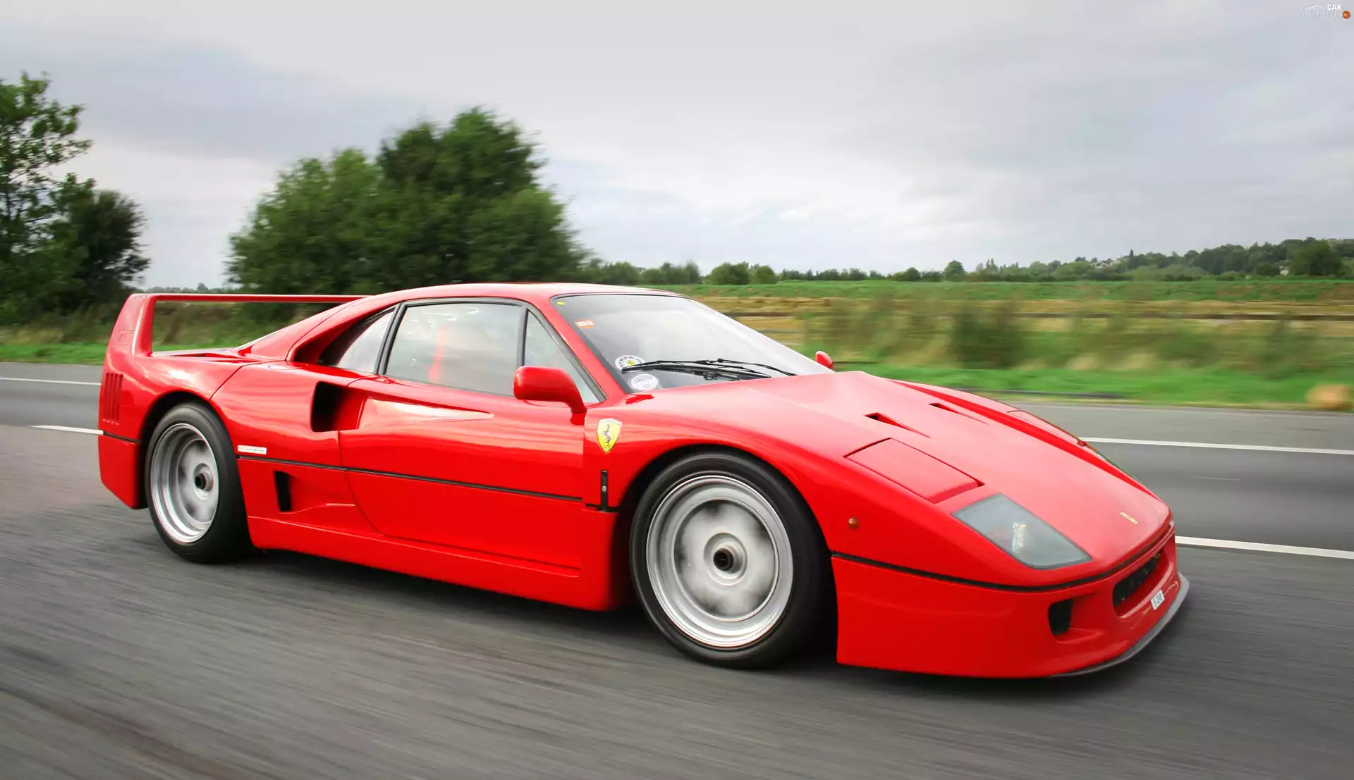Red, Ferrari F40, Automobile