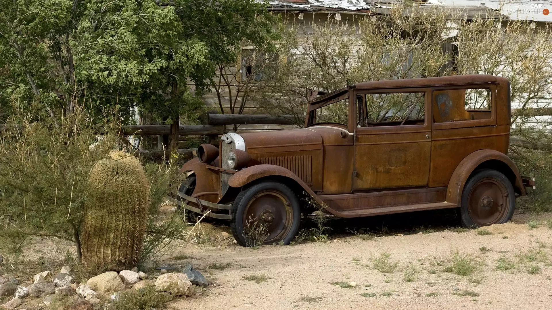 rusty, Cactus, Stones, Automobile