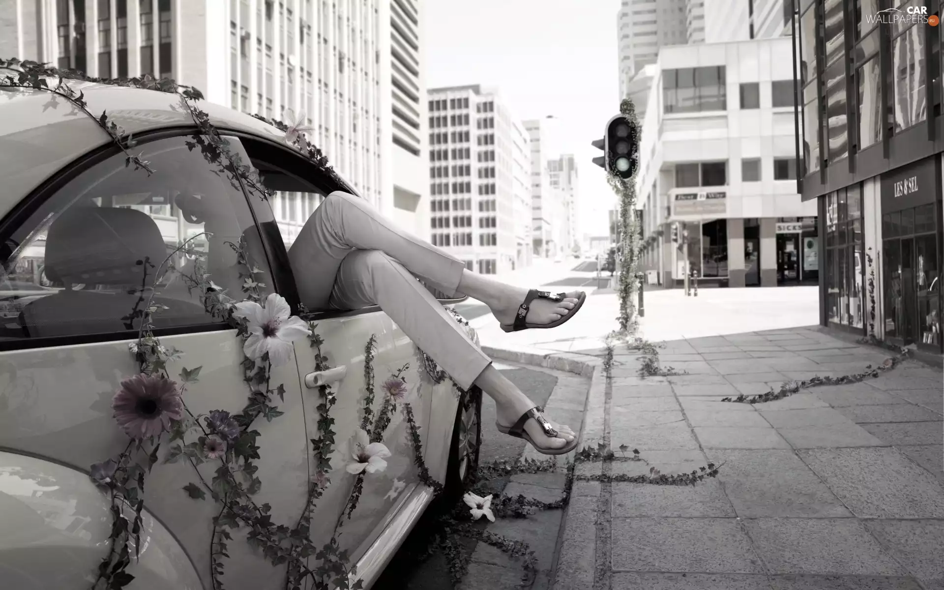 Street, woman, legs, Automobile