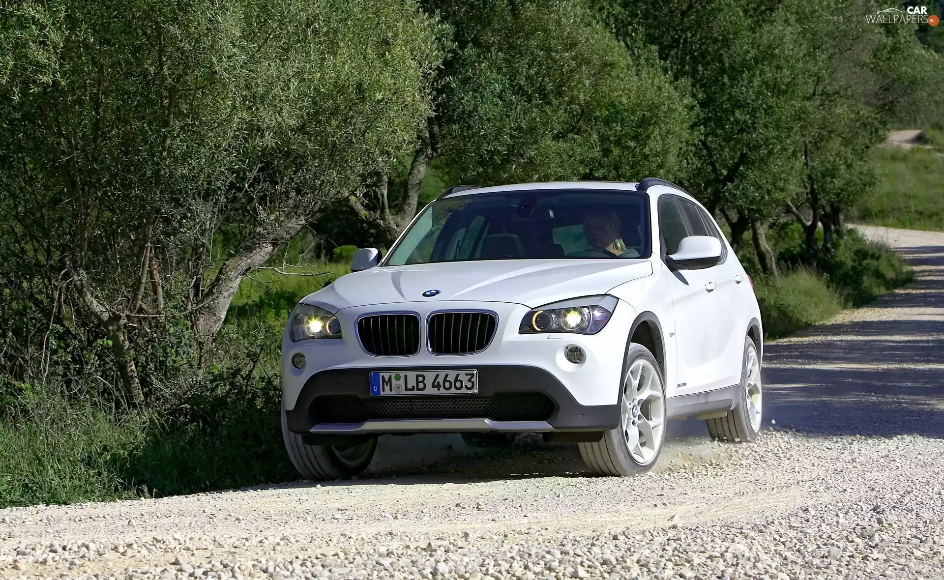 Automobile, BMW, X1