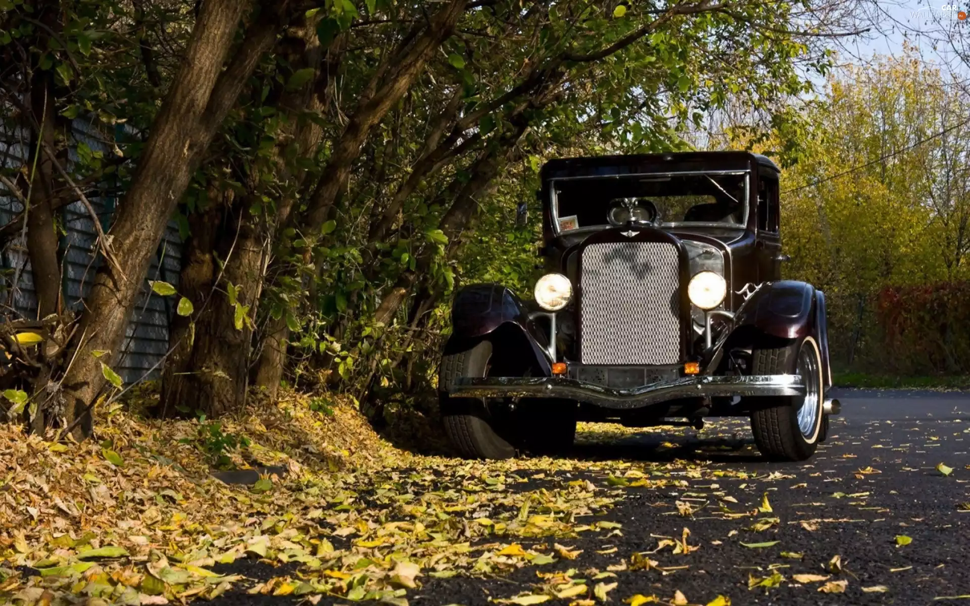 autumn, Automobile, Retro