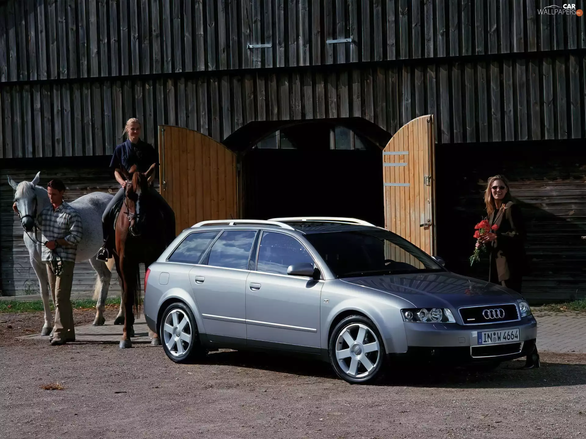 bloodstock, Audi A4, AVANT
