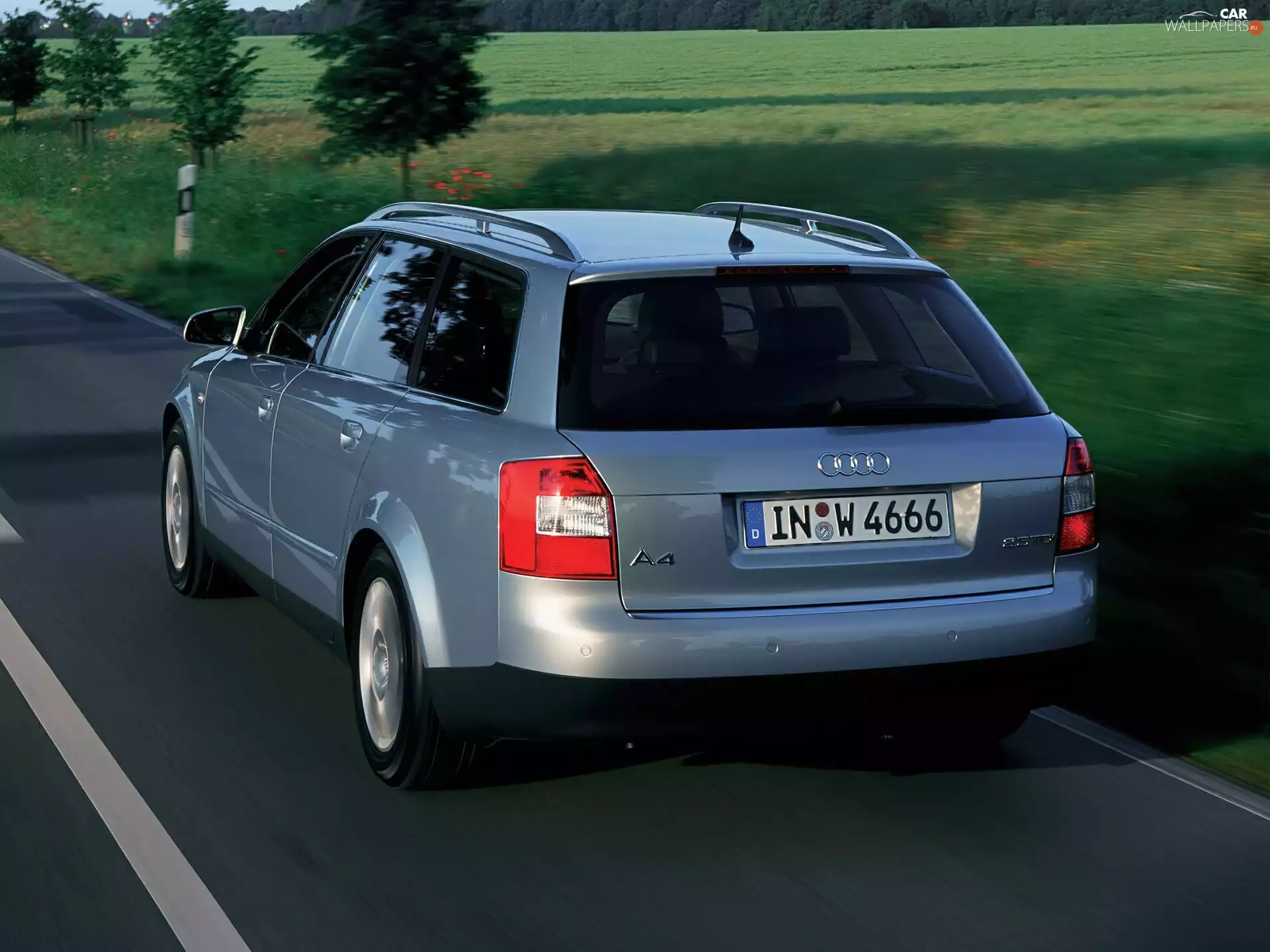 medows, Audi A4, AVANT