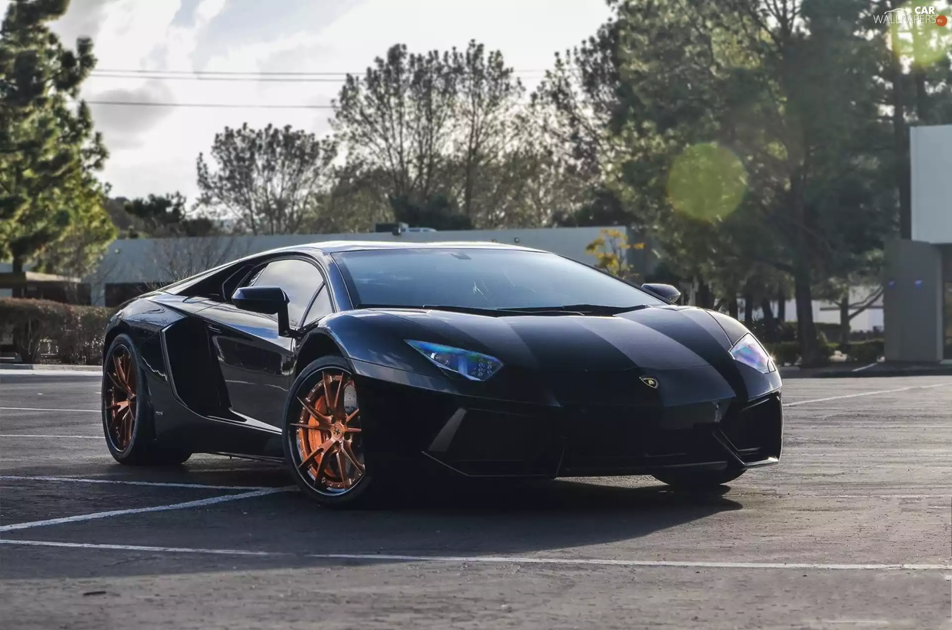 Lamborghini, trees, viewes, Aventador