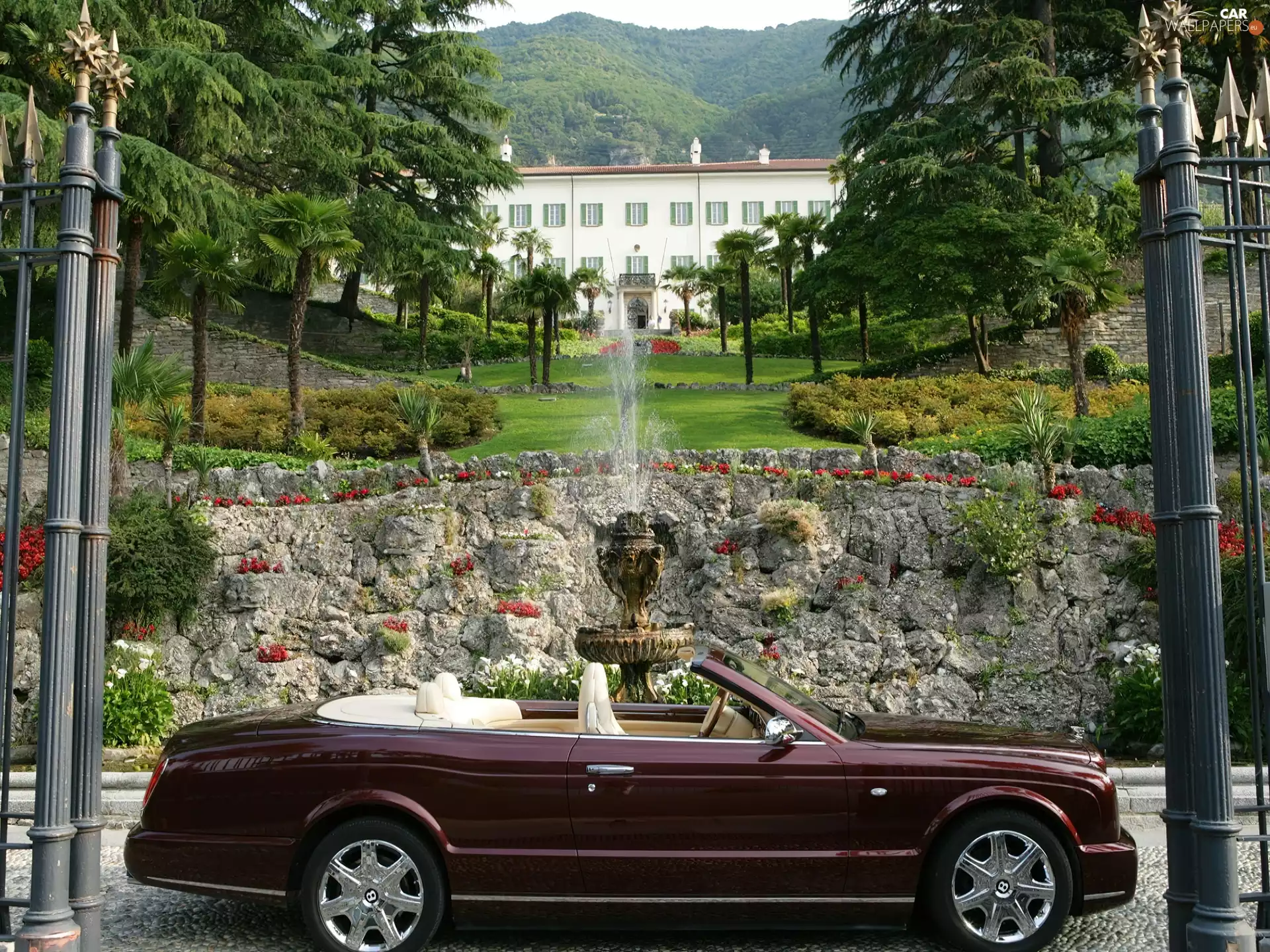 fountain, claret, Bentley Azure