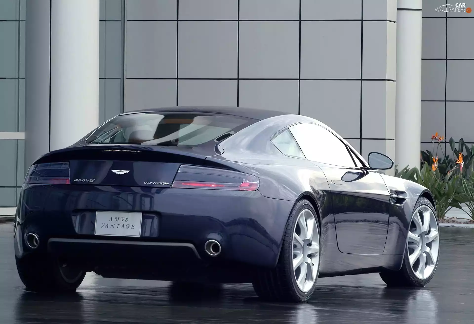 Vantage, Back, Aston Martin AMV8