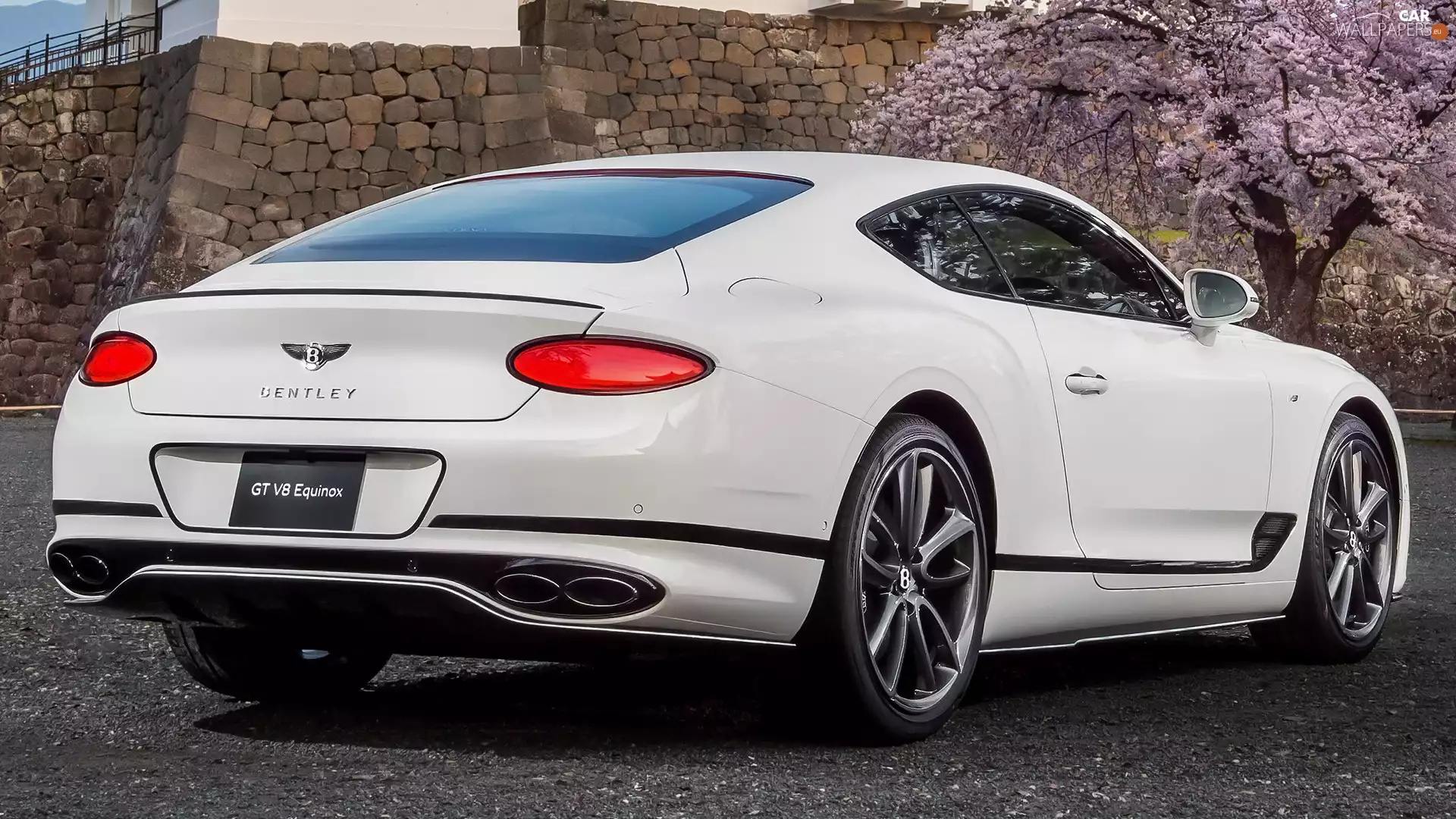 Bentley Continental GT, Back