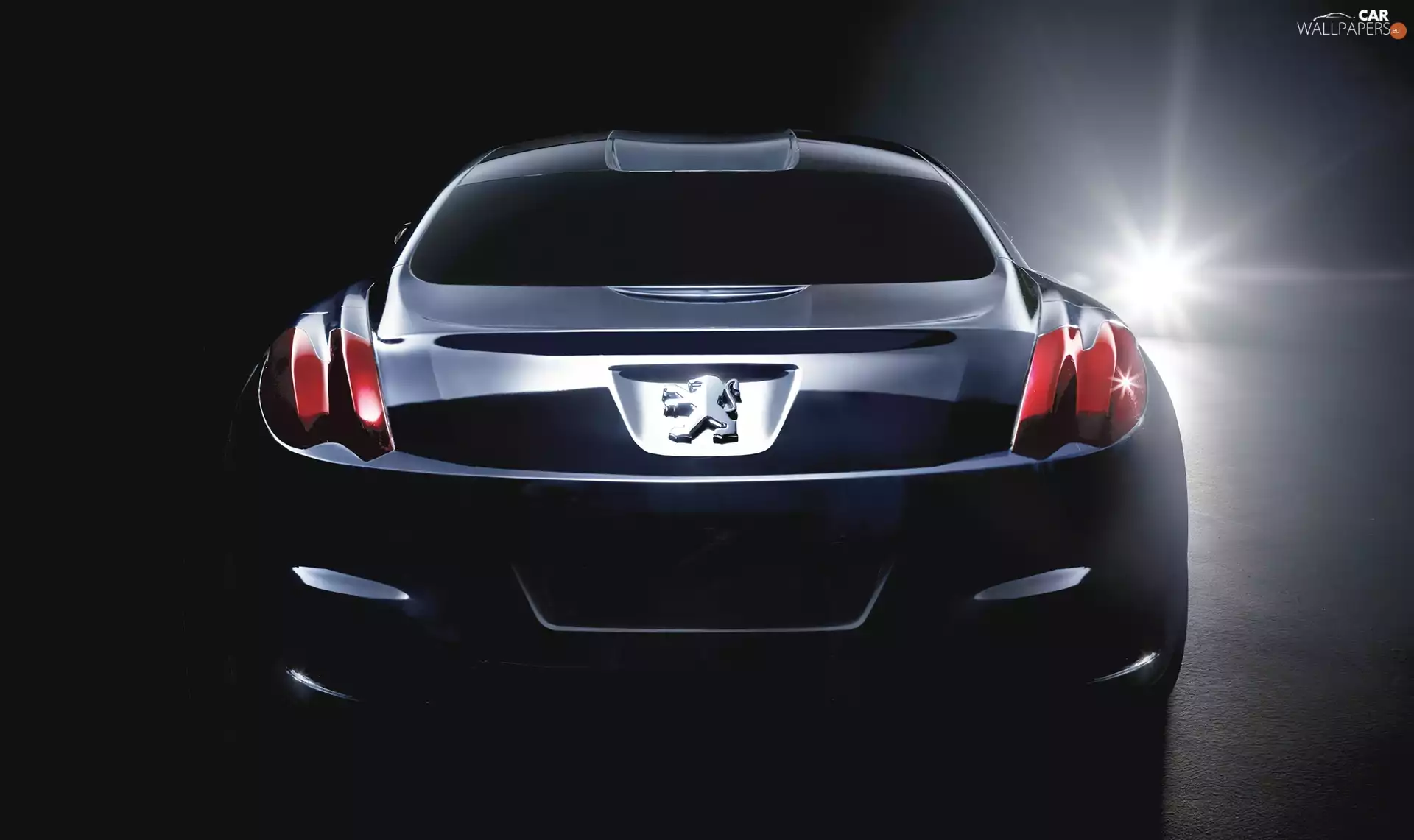 Back, Prototype, Black