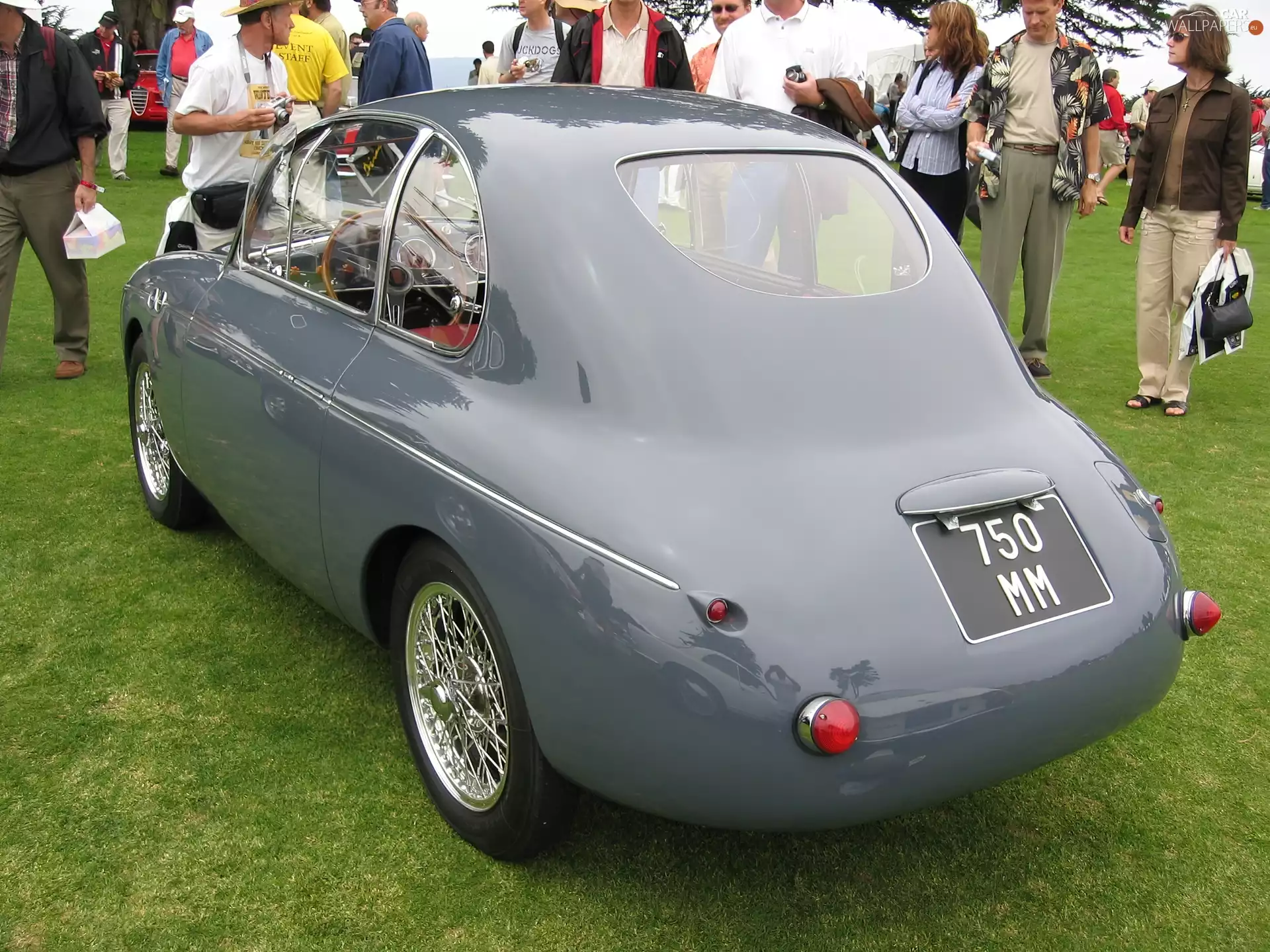 Fiat, wheel, wheels, Back