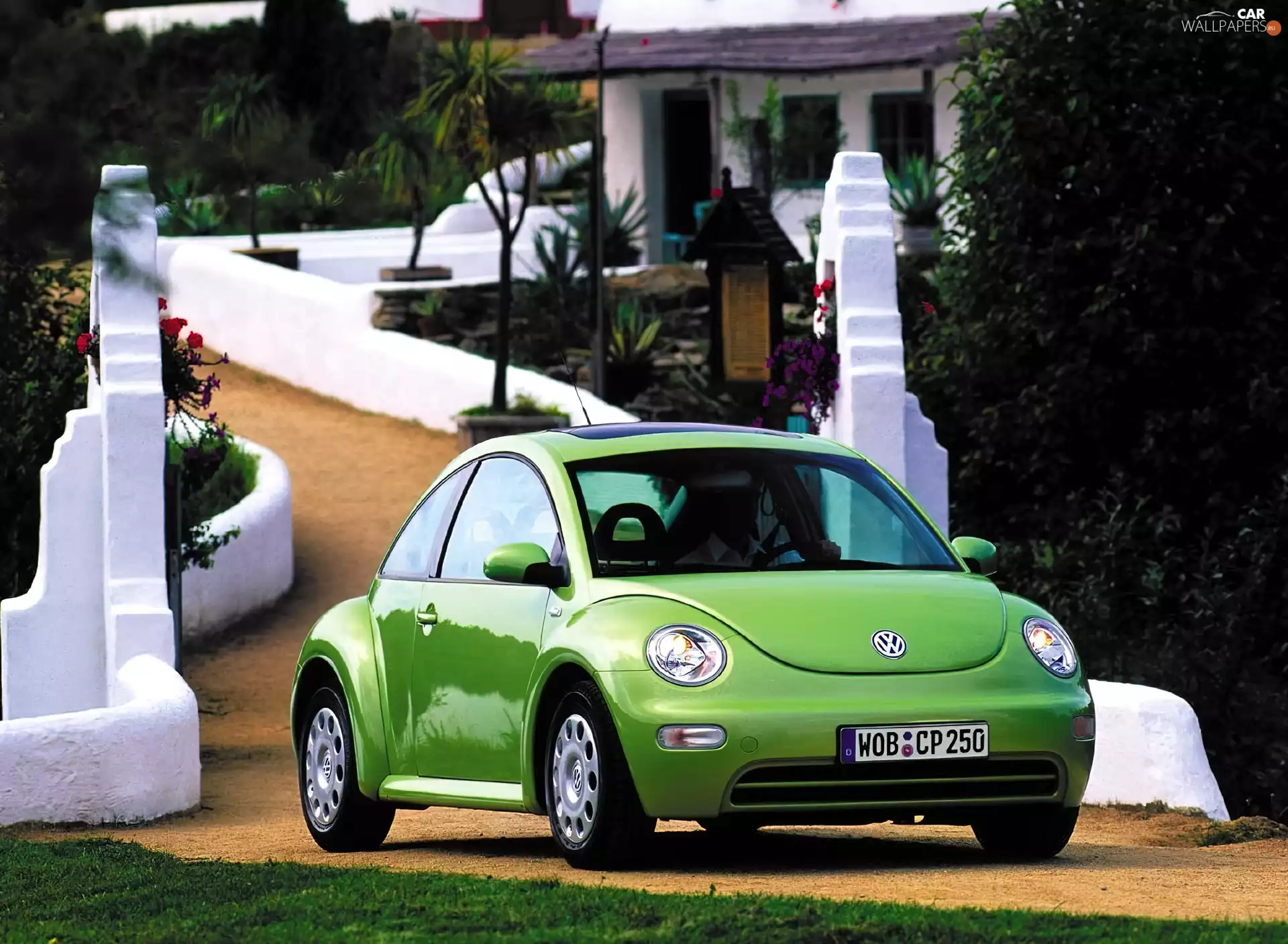 Green, Volkswagen New Beetle