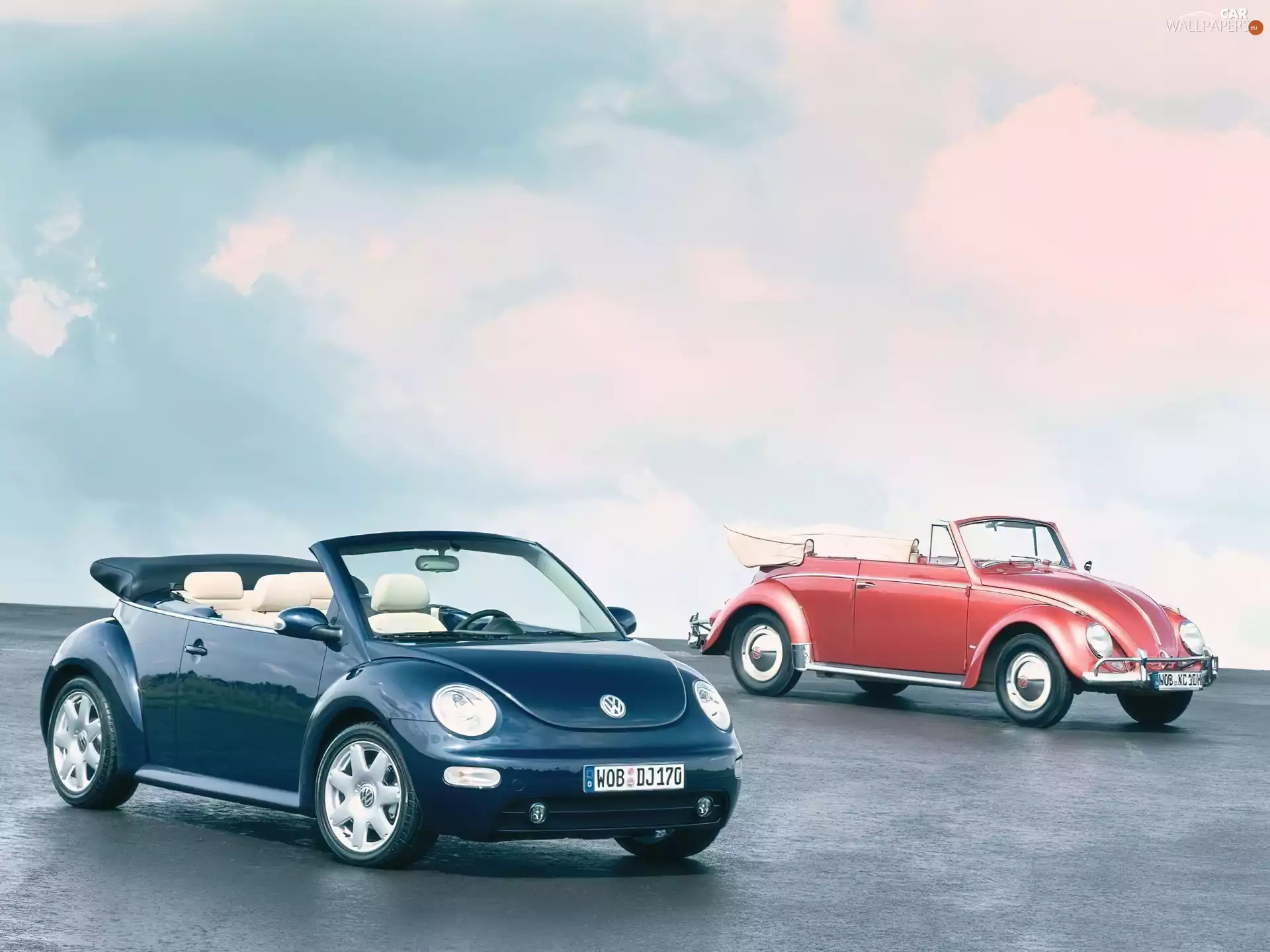 New Beetles, New Beetle