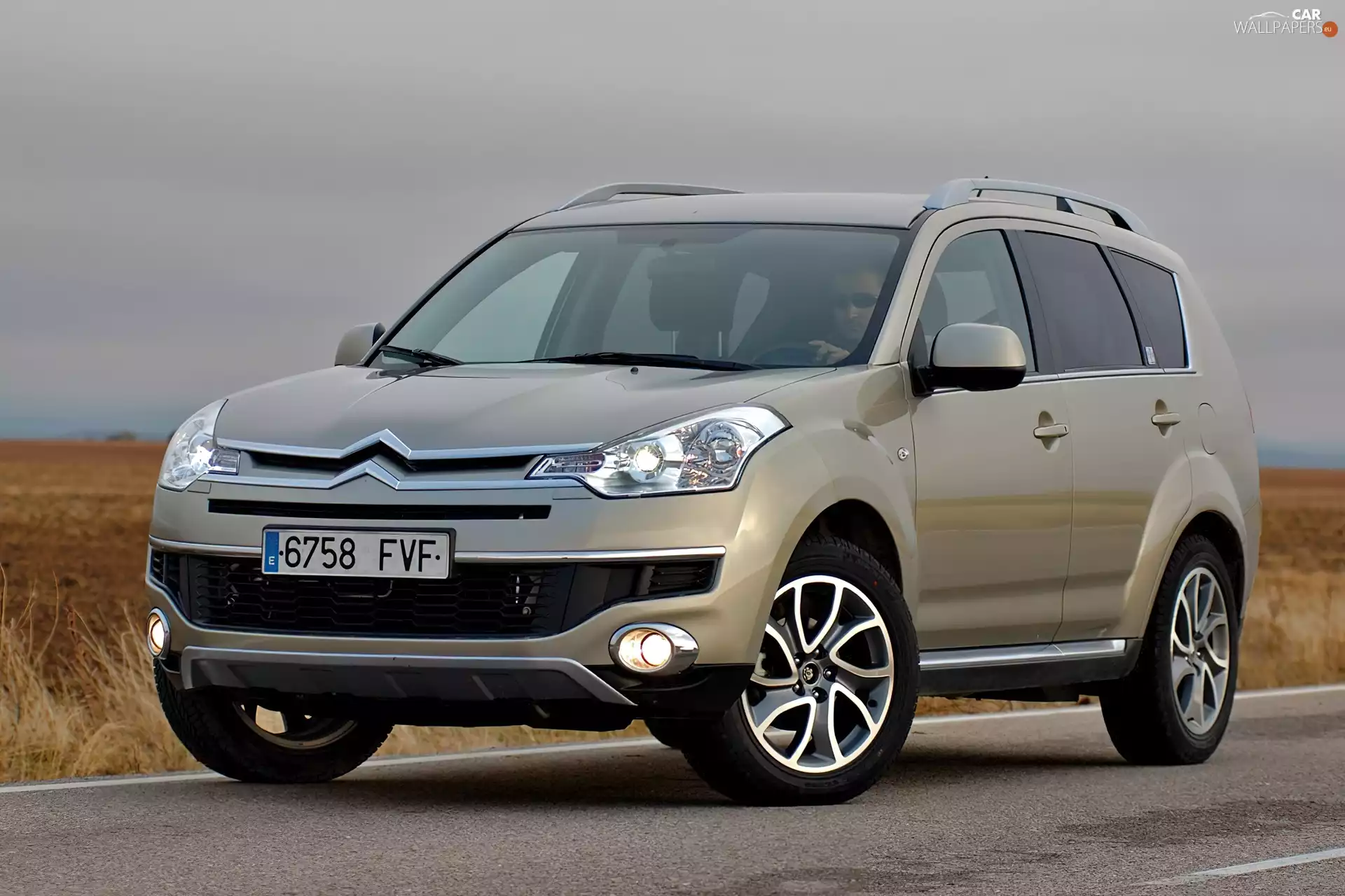 driver, beige, Citroen C-Crosser