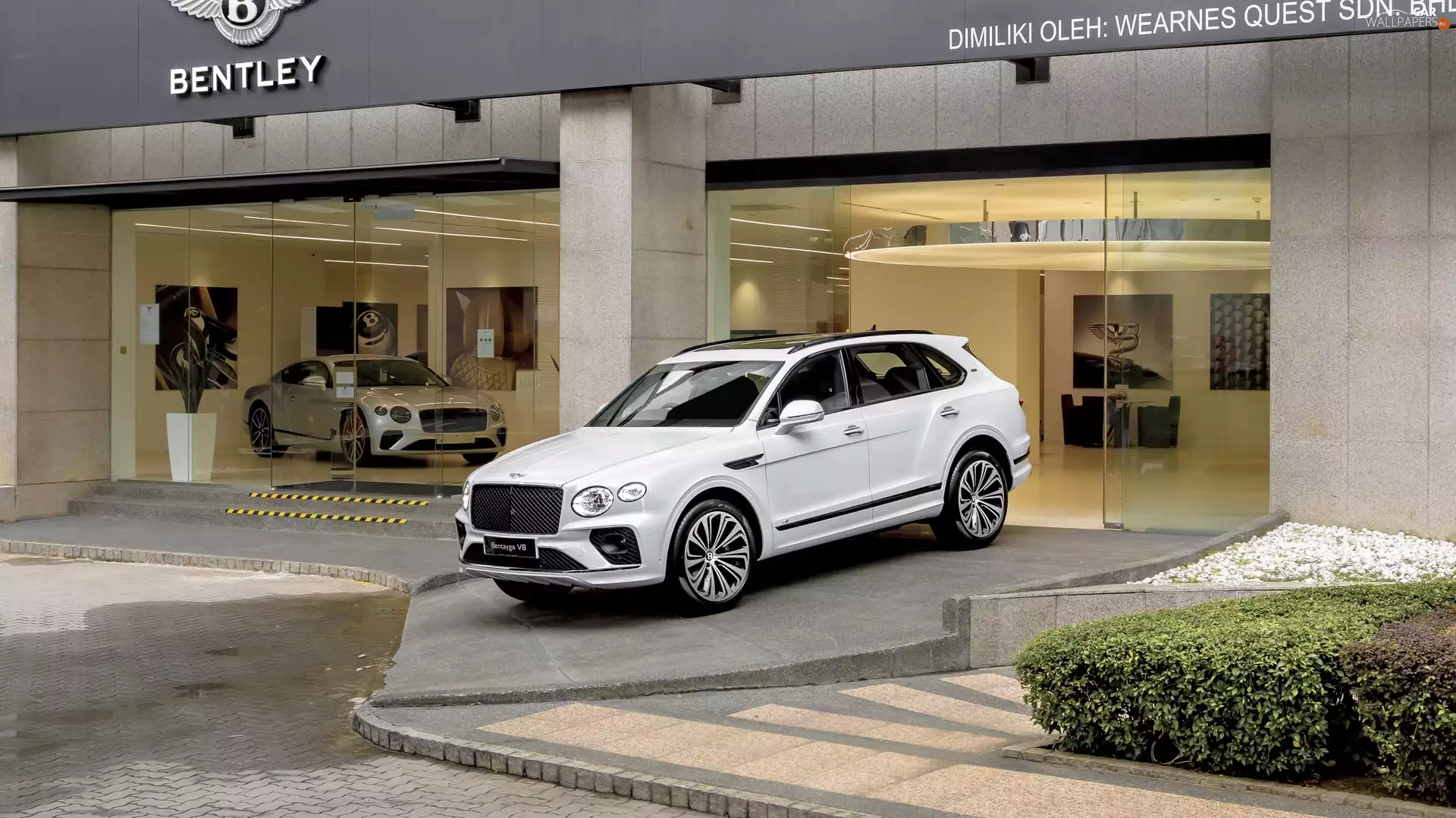 saloon, automobile, Bentley Bentayga V8, 2020, White