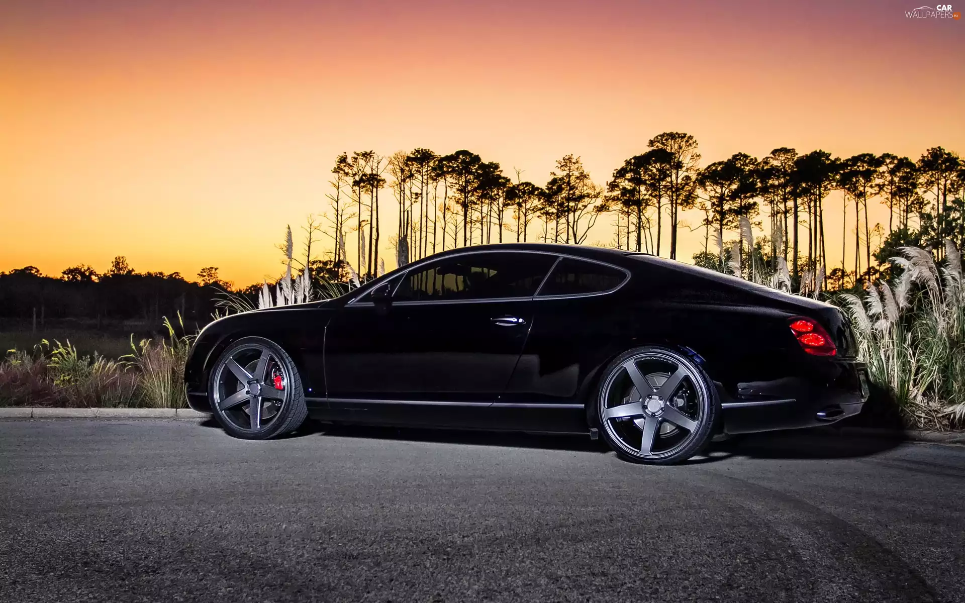 Black, Continental, GT, Bentley