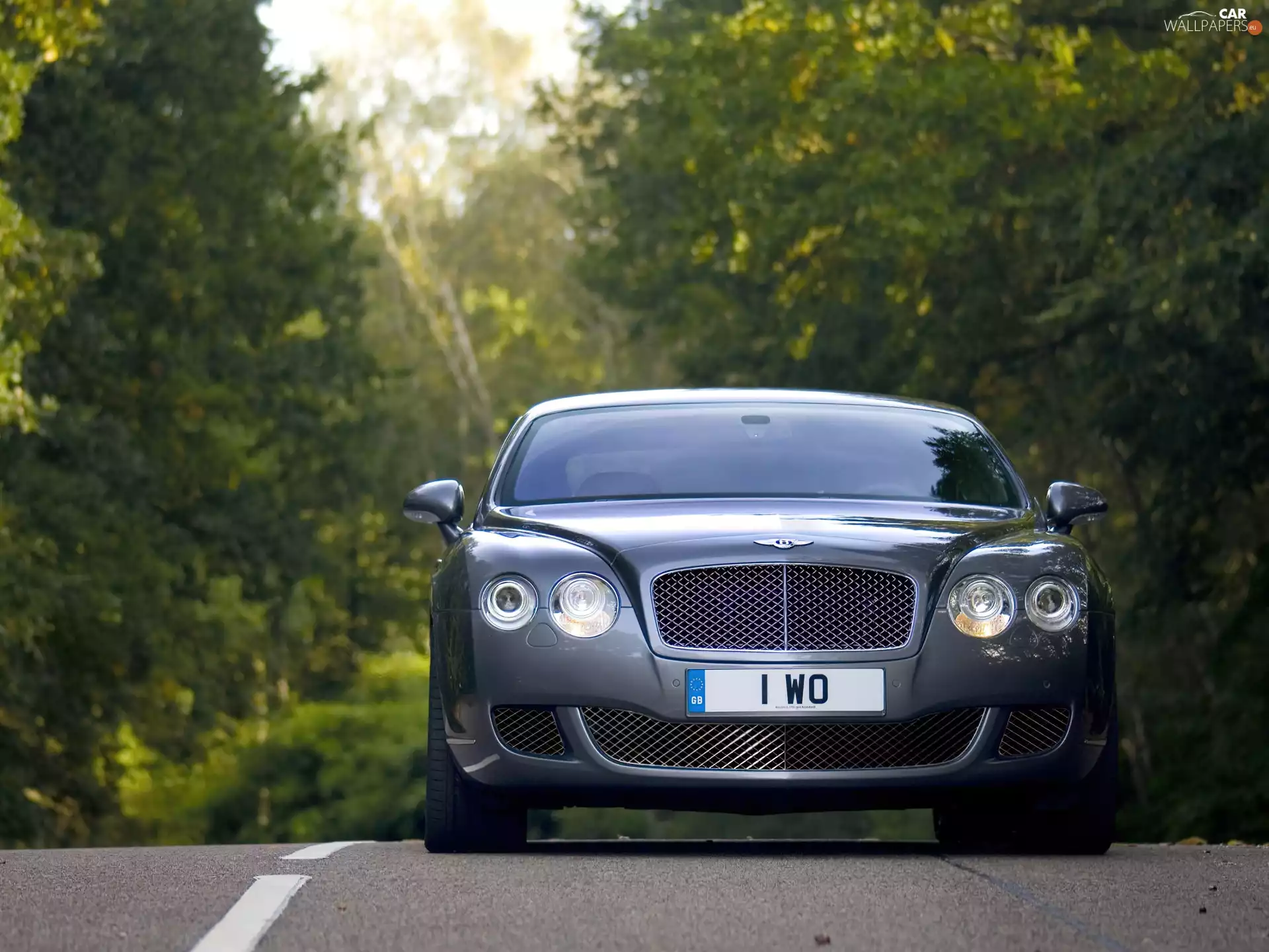 front, Bentley Continental GT, bumper