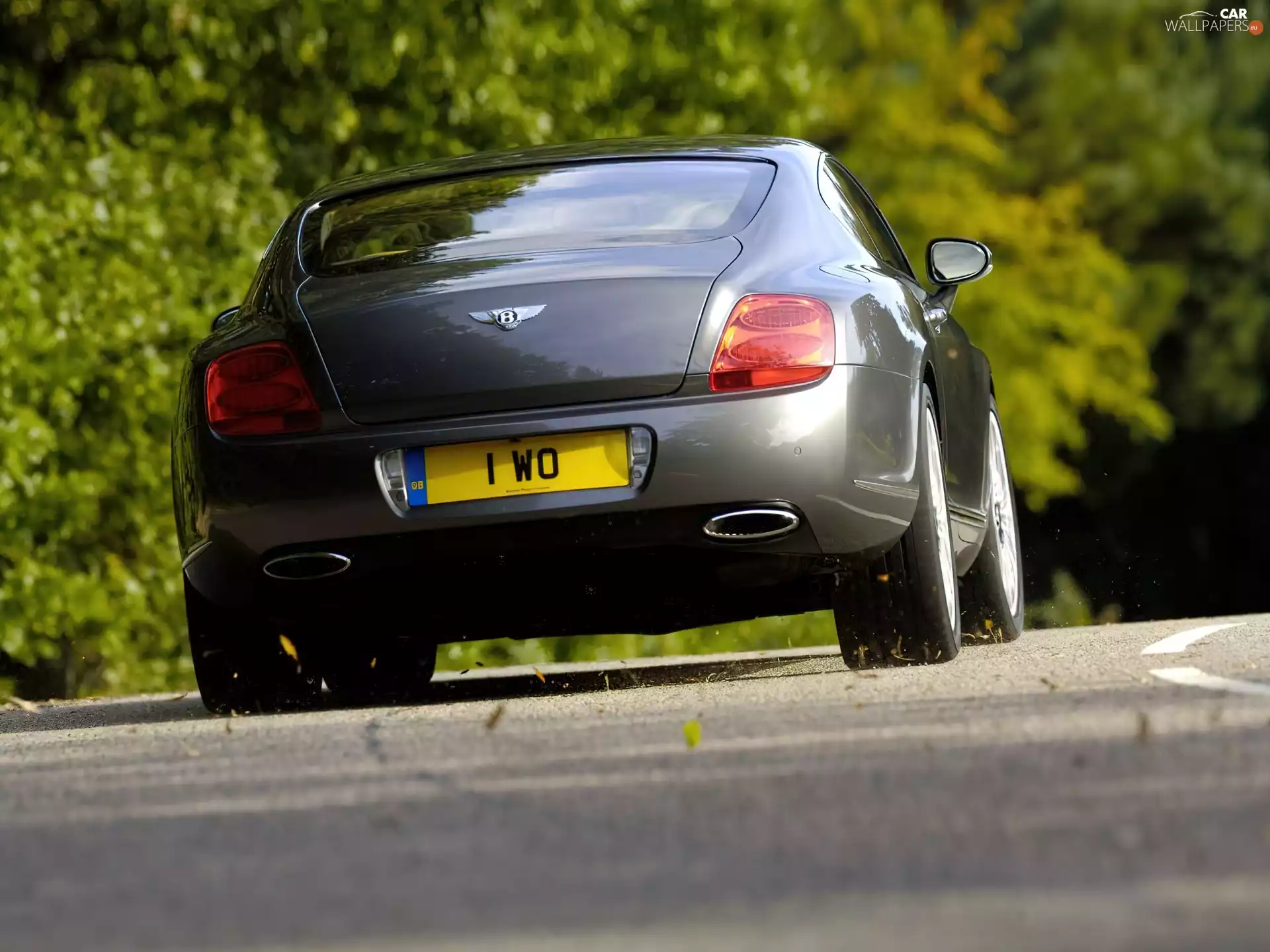tires, Bentley Continental GT, profile