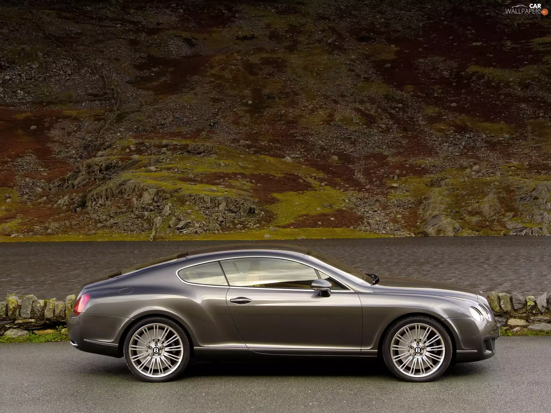 brake, Bentley Continental GT, shields