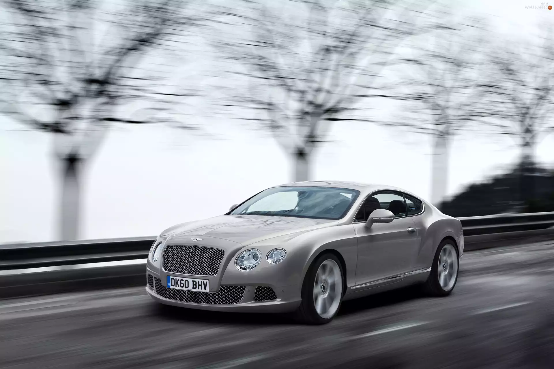 Automobile, Bentley Continental GT, Sport