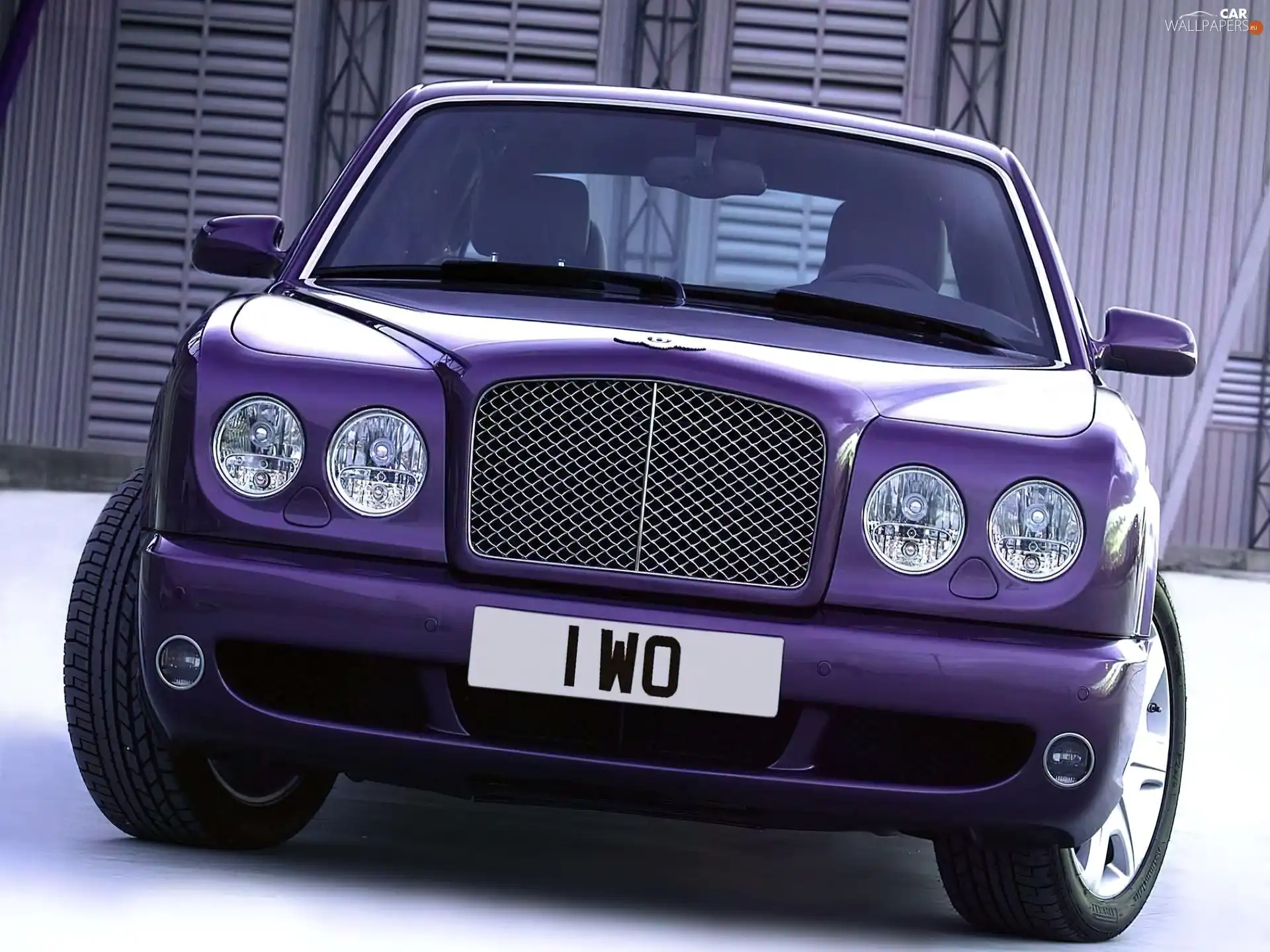 dummy, Violet, Bentley Arnage