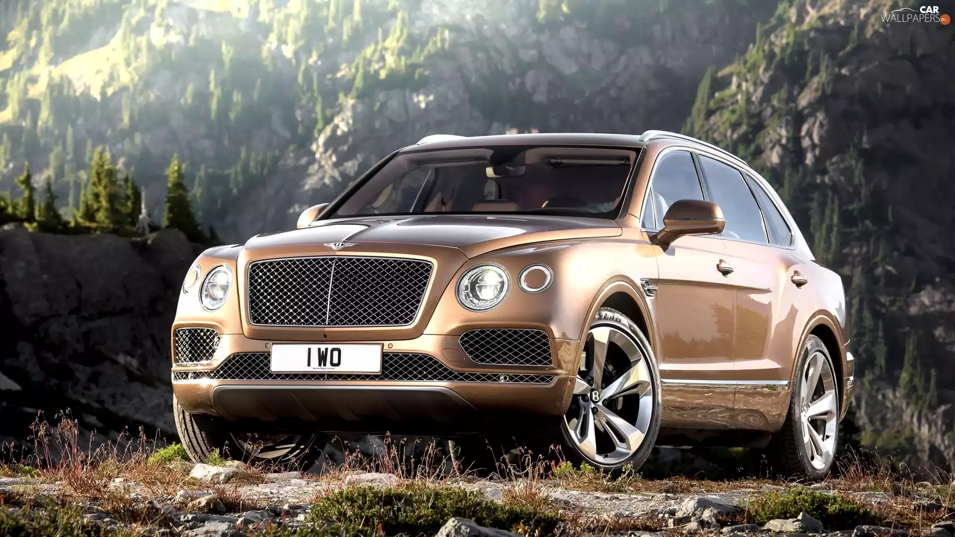 Bentley Bentayga, Front