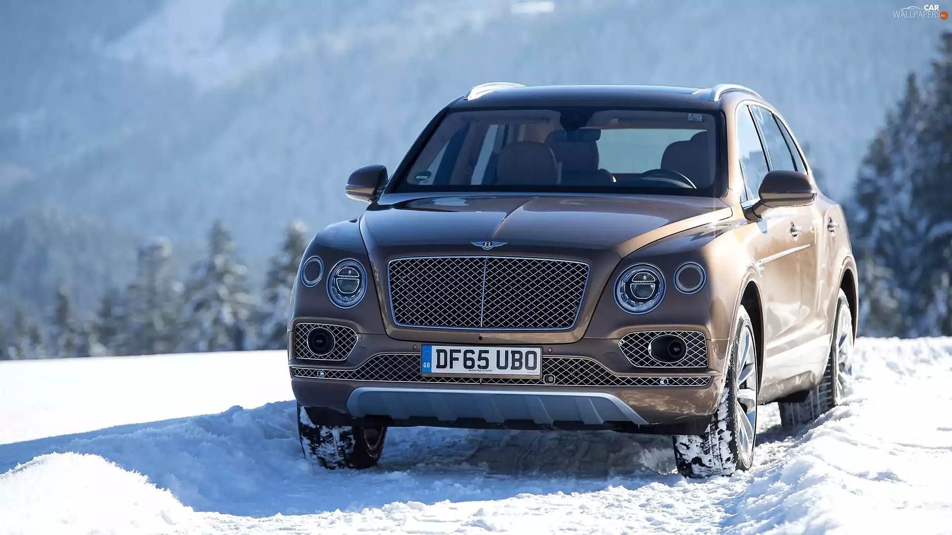 Bentley Bentayga, snow