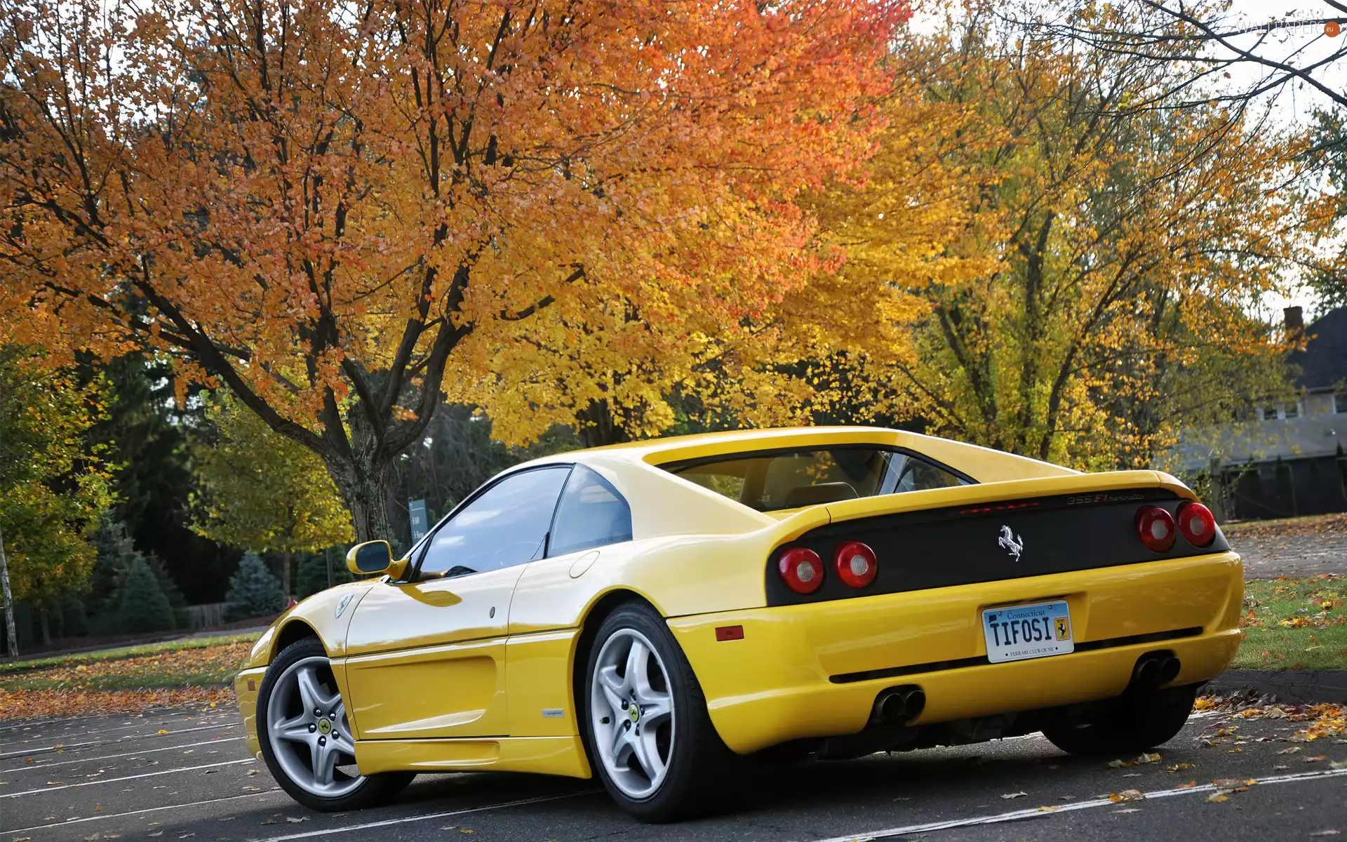 Ferrari 355 F1 Berlinetta, trees, viewes, square