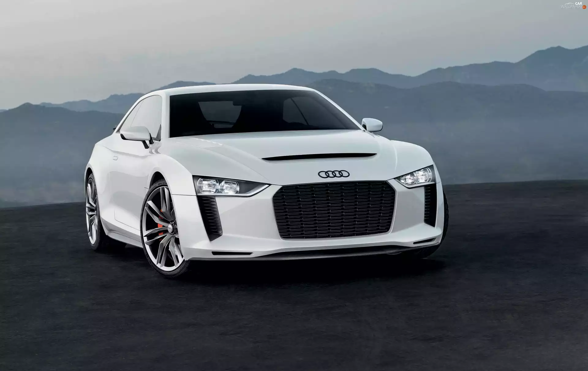 Grill, Audi Quattro, Big