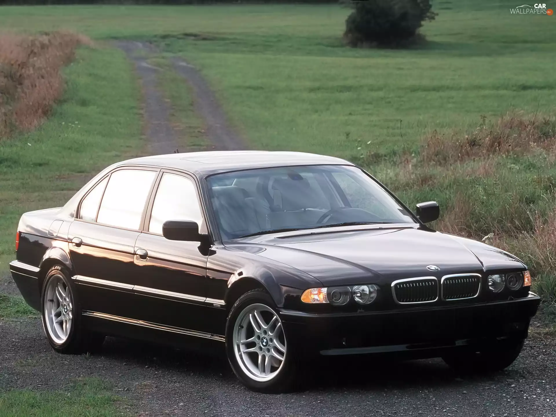 Black, E38