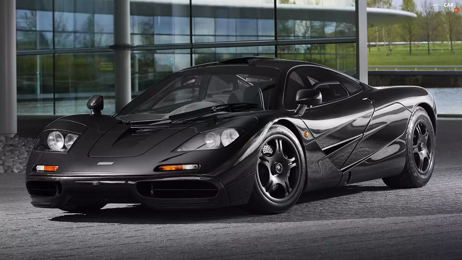 Black, McLaren F1