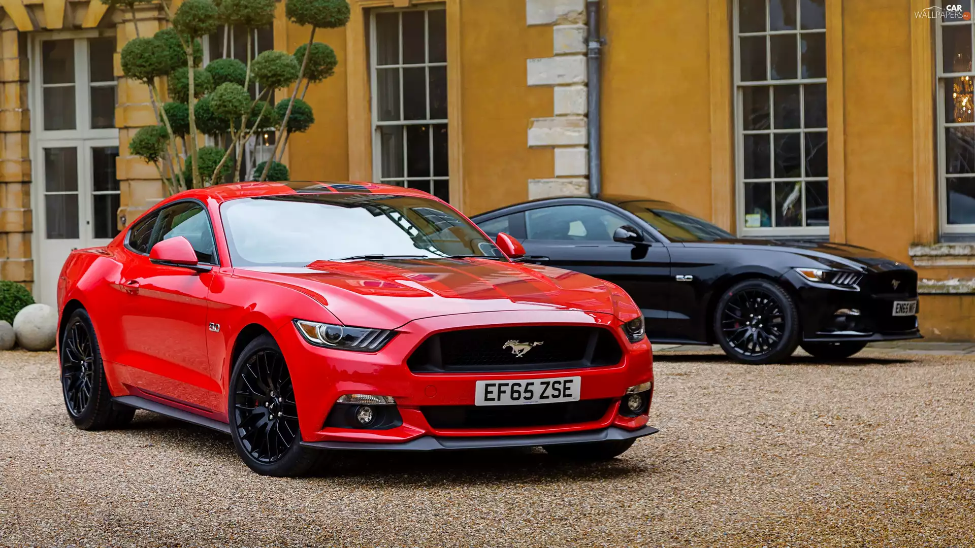 Ford Mustang, Red, Black
