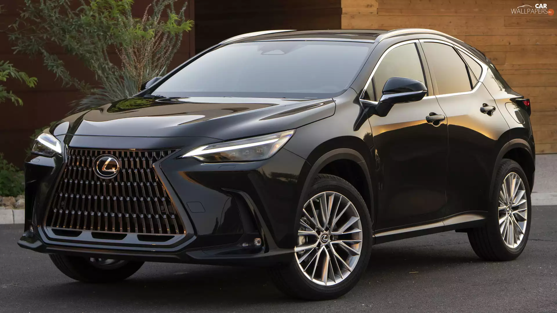 Black, Lexus NX