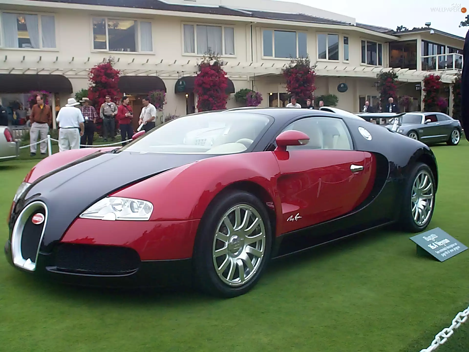 Red, Veyron, grass, Black