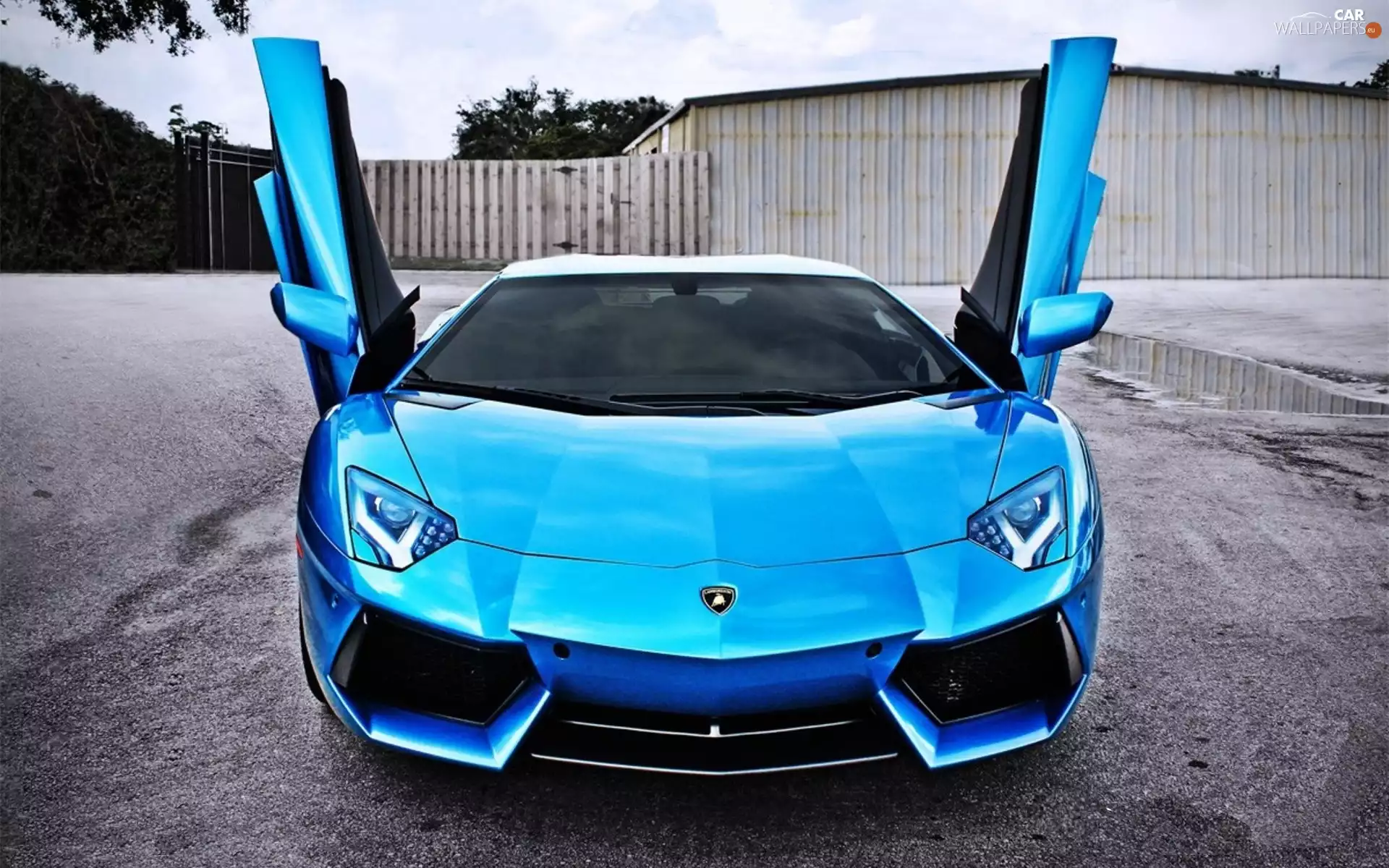 blue, Lamborghini Aventador