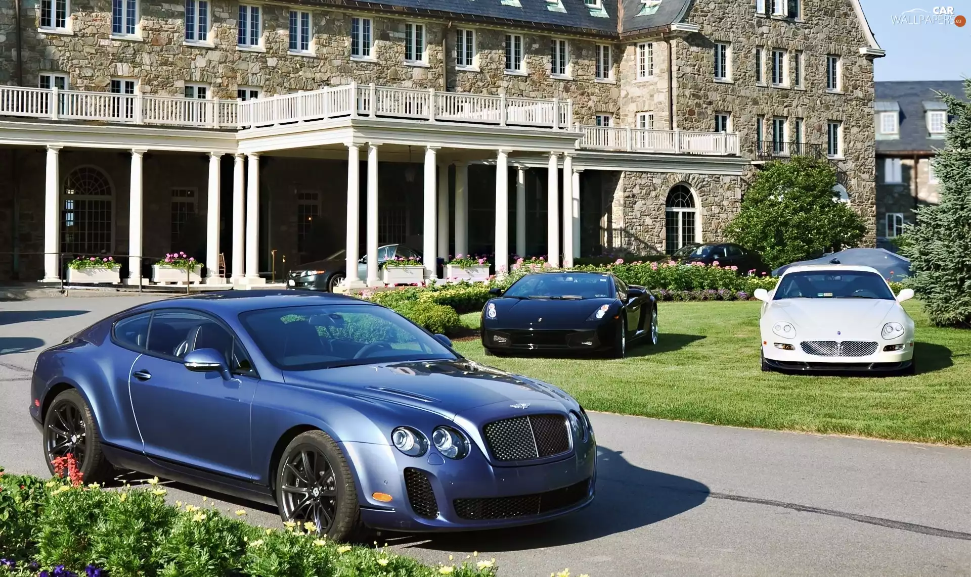 blue, Automobile, Bentley