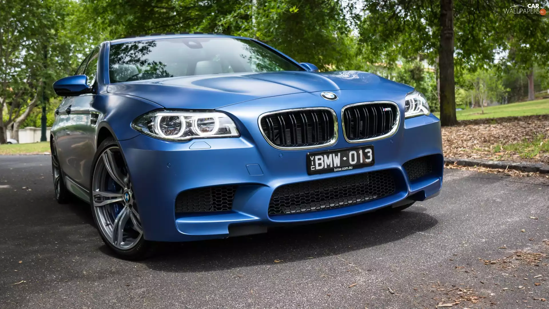 Sedan, Blue, BMW M5 F10