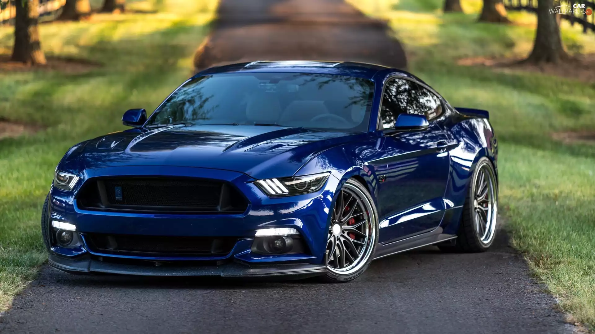2017, blue, Ford Mustang GT