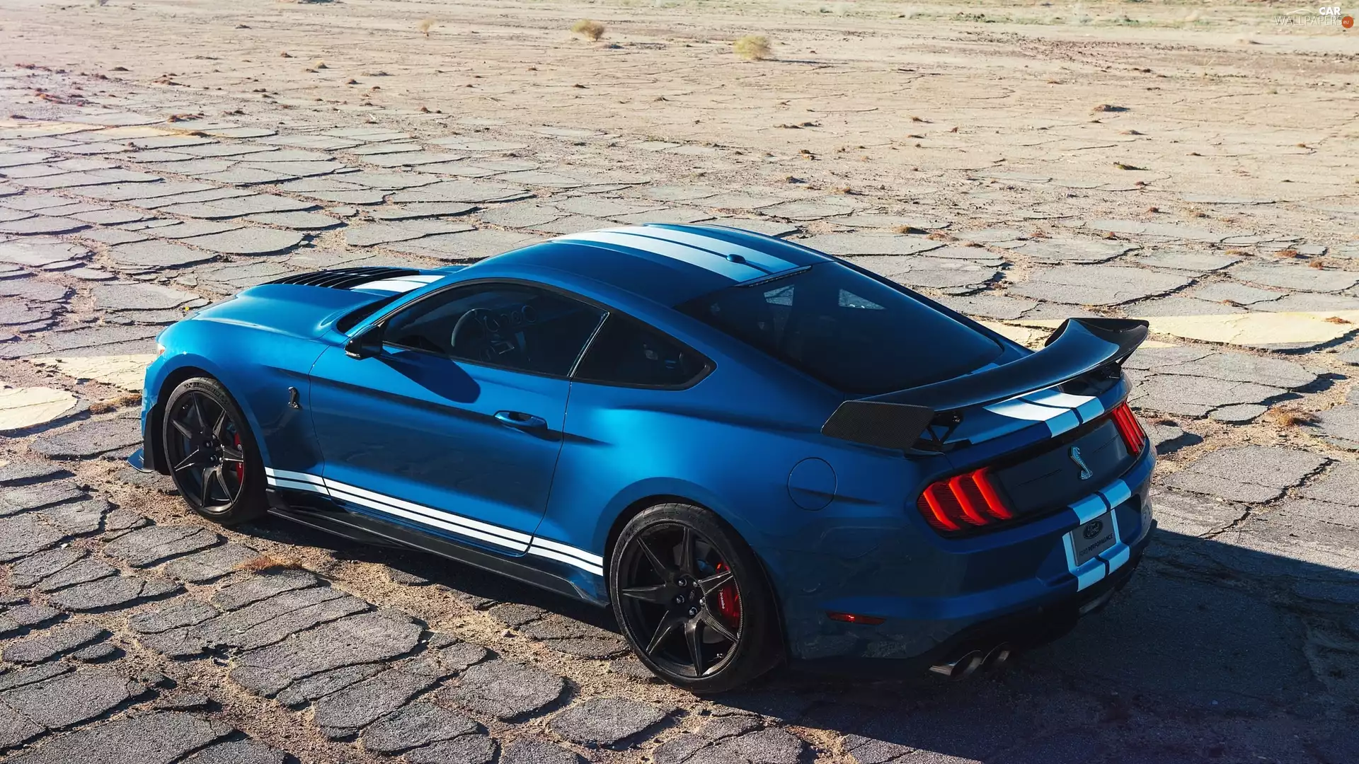 GT500, blue, Ford Mustang Shelby