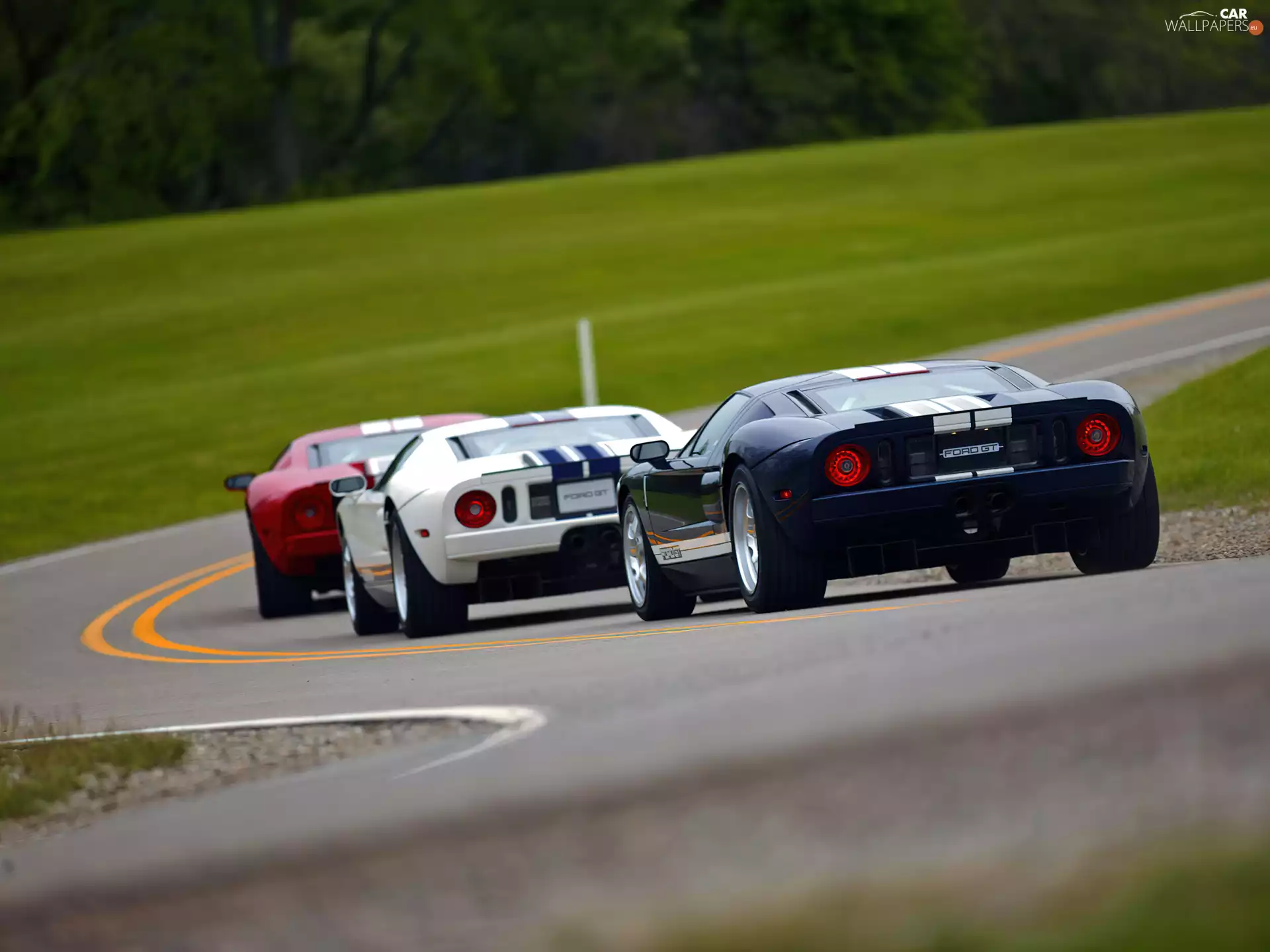 GT, Three, White, blue, Red, Fords