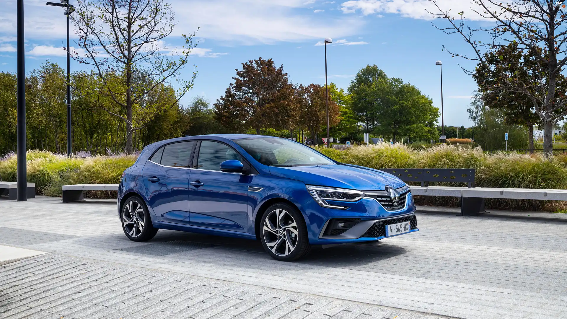 blue, Renault Megane