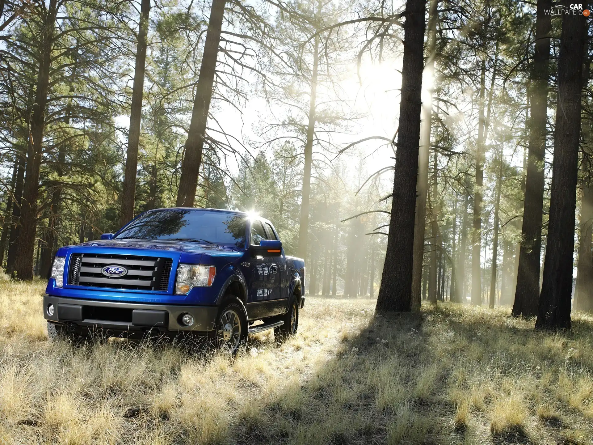 grass, trees, Ford, viewes, forest, blue, Ranger